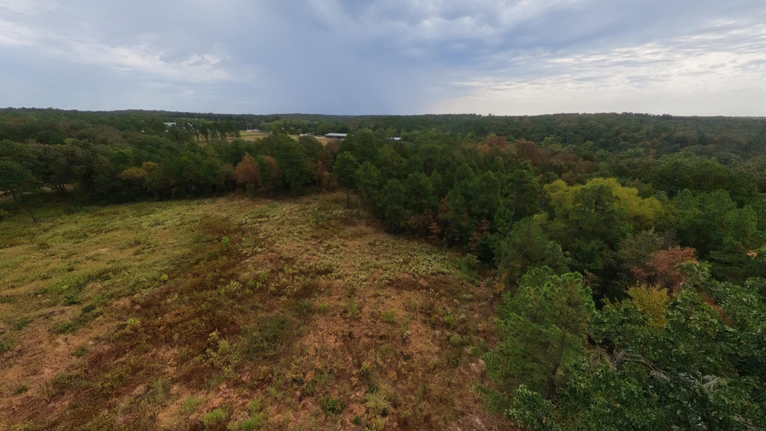 Photo 17 - Land for sale – 517  Sawmill Road  Brockwell, AR