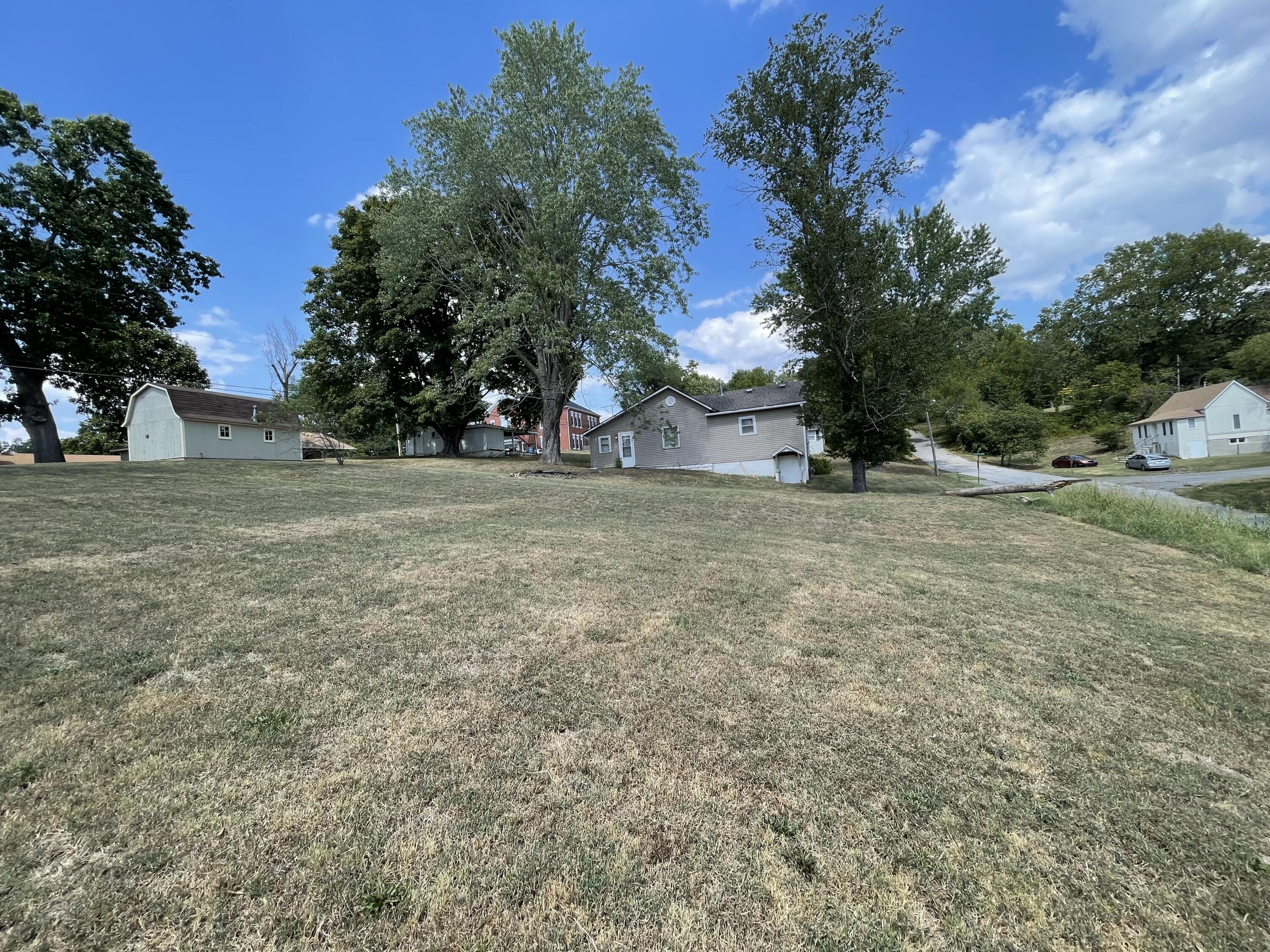 Photo 5 - Residential for sale – 109 E Lillian Avenue  Crane, MO
