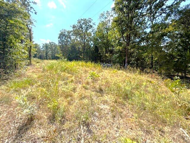 Photo 3 - Land for sale – 18886  Sugar Creek Road  Garfield, AR