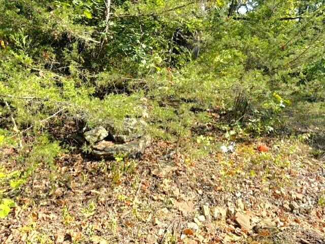 Photo 9 - Land for sale – 18886  Sugar Creek Road  Garfield, AR