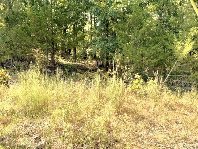 Photo 6 - Land for sale – 18886  Sugar Creek Road  Garfield, AR