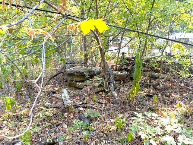 Photo 5 - Land for sale – 18886  Sugar Creek Road  Garfield, AR