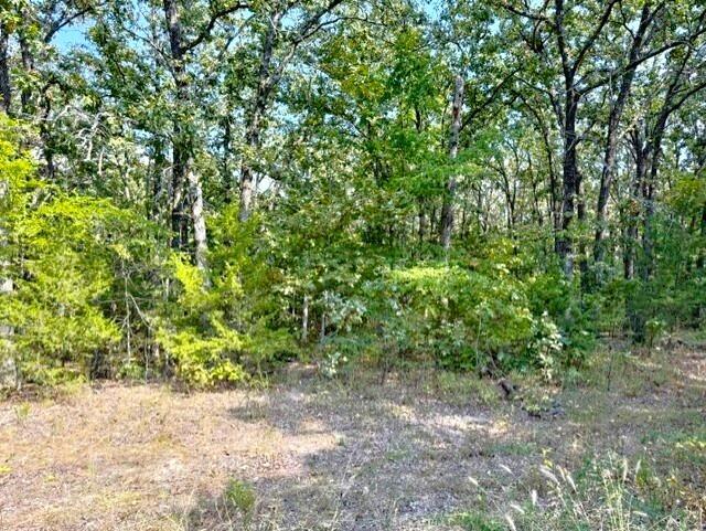 Photo 7 - Land for sale – 18886  Sugar Creek Road  Garfield, AR