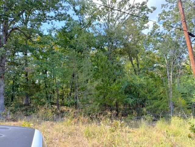 Photo 13 - Land for sale – 18886  Sugar Creek Road  Garfield, AR