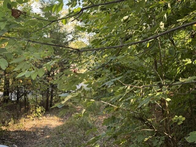 Photo 12 - Land for sale – 18886  Sugar Creek Road  Garfield, AR