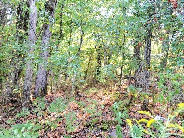 Photo 4 - Land for sale – 18886  Sugar Creek Road  Garfield, AR