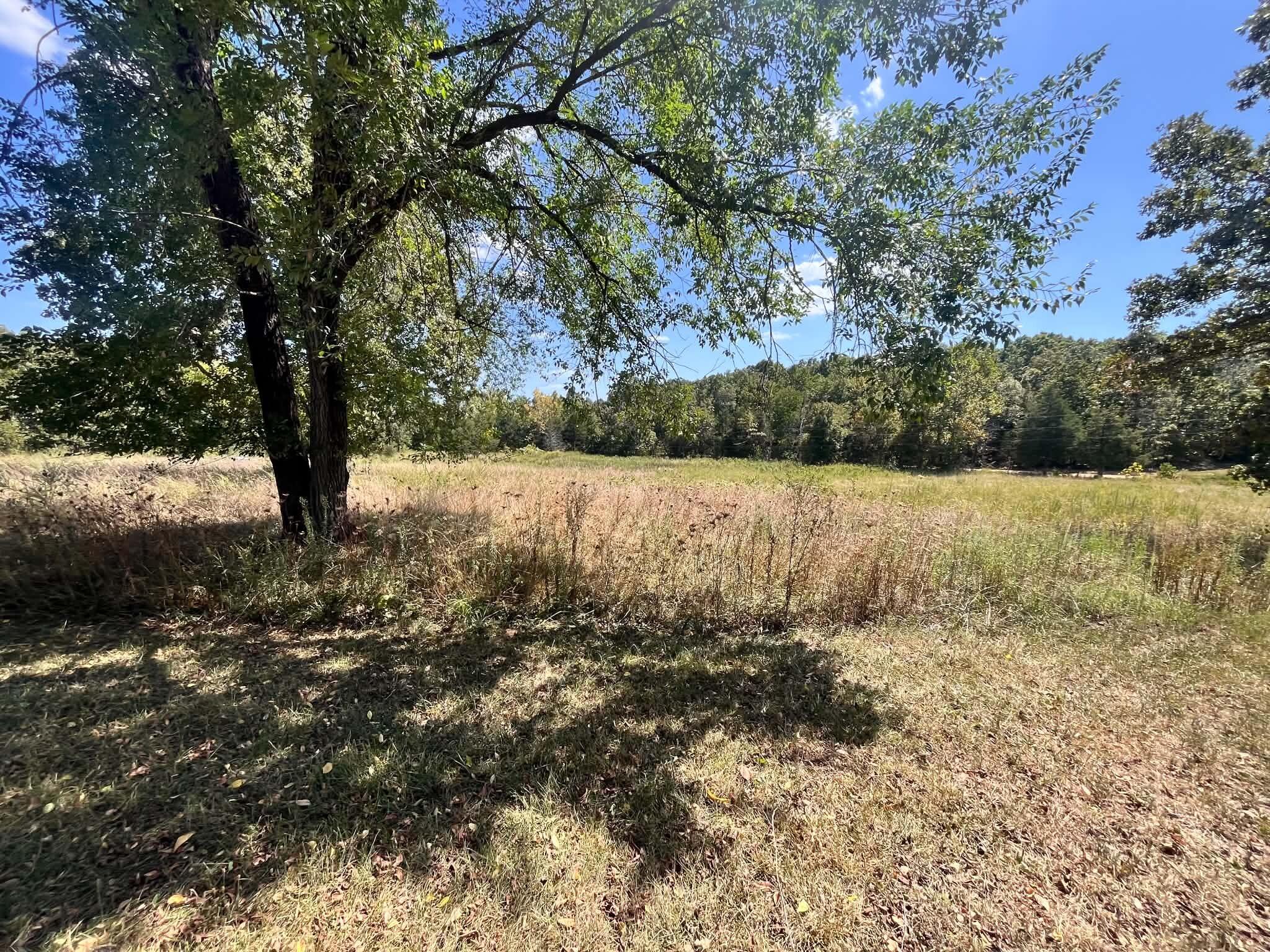 Photo 13 - Residential for sale – 3065 N Camp Creek Road  Mammoth Spring, AR