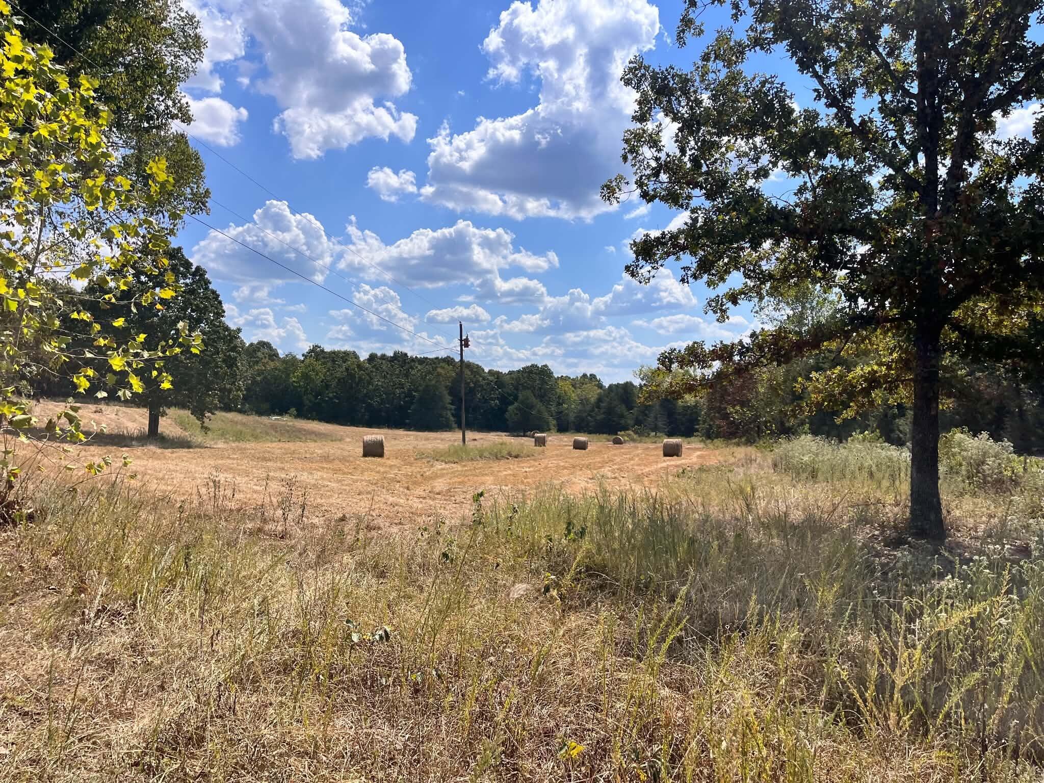 Photo 19 - Residential for sale – 3065 N Camp Creek Road  Mammoth Spring, AR