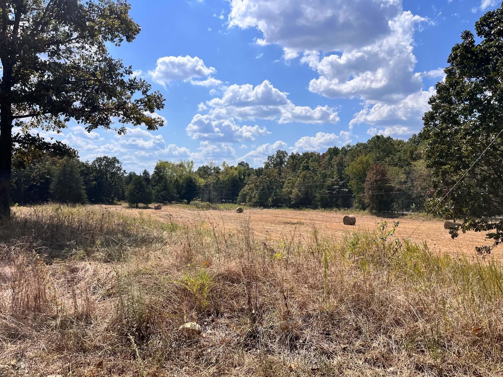 Photo 18 - Residential for sale – 3065 N Camp Creek Road  Mammoth Spring, AR
