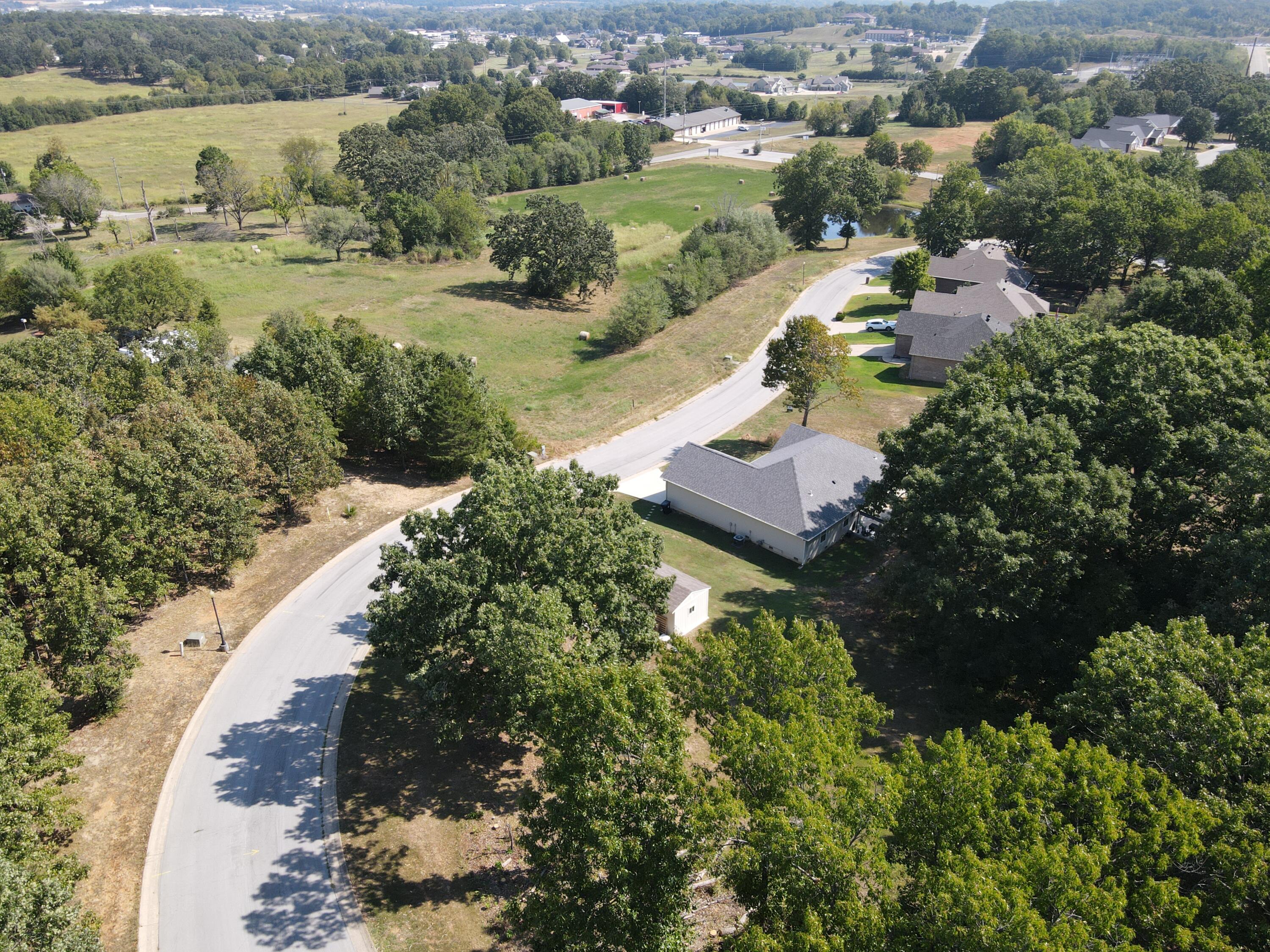 Photo 7 - Residential for sale – 2010  Wild Turkey   West Plains, MO