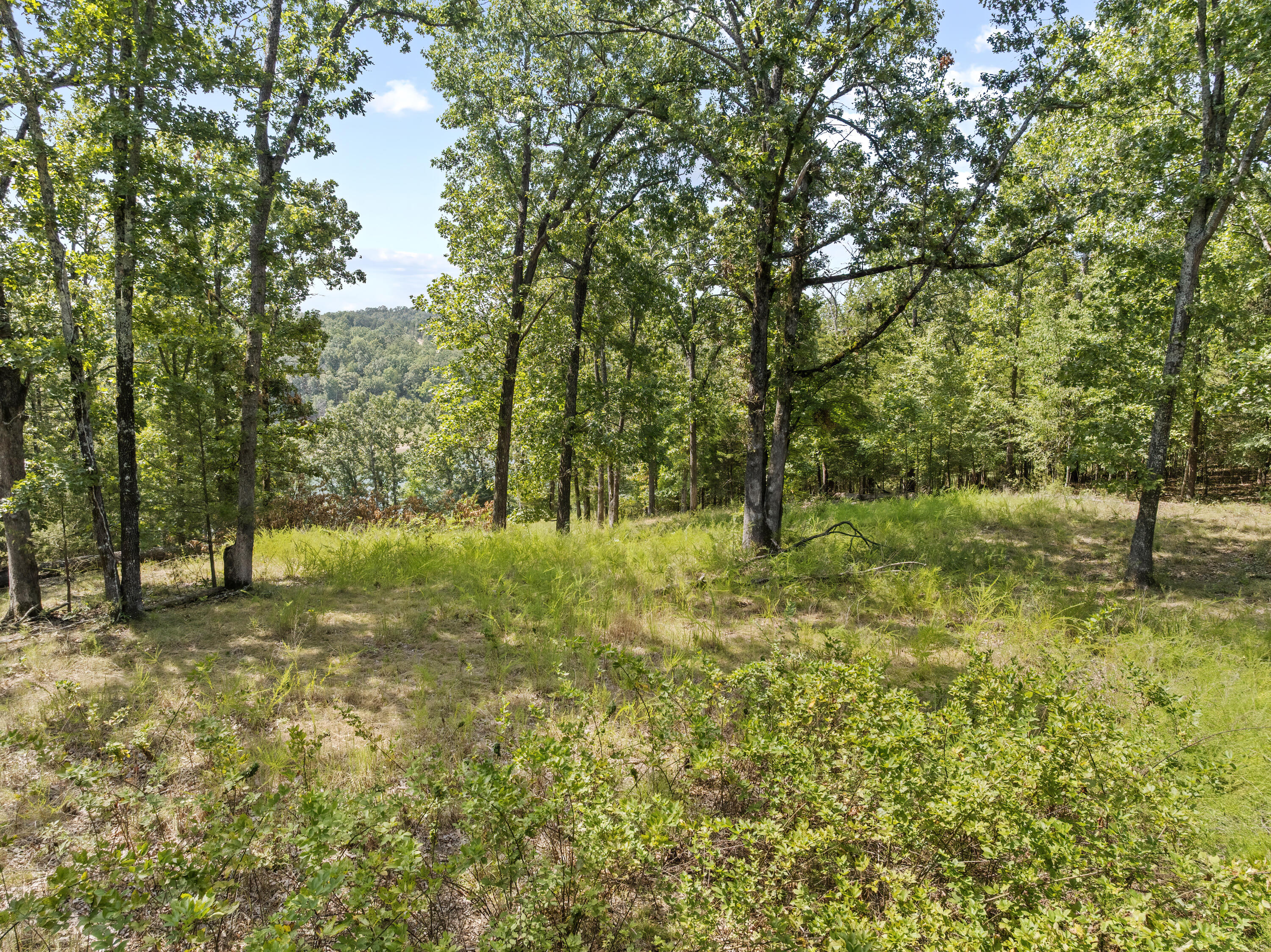 Photo 12 - Land for sale – 000 S Glade Point Drive  Yellville, AR