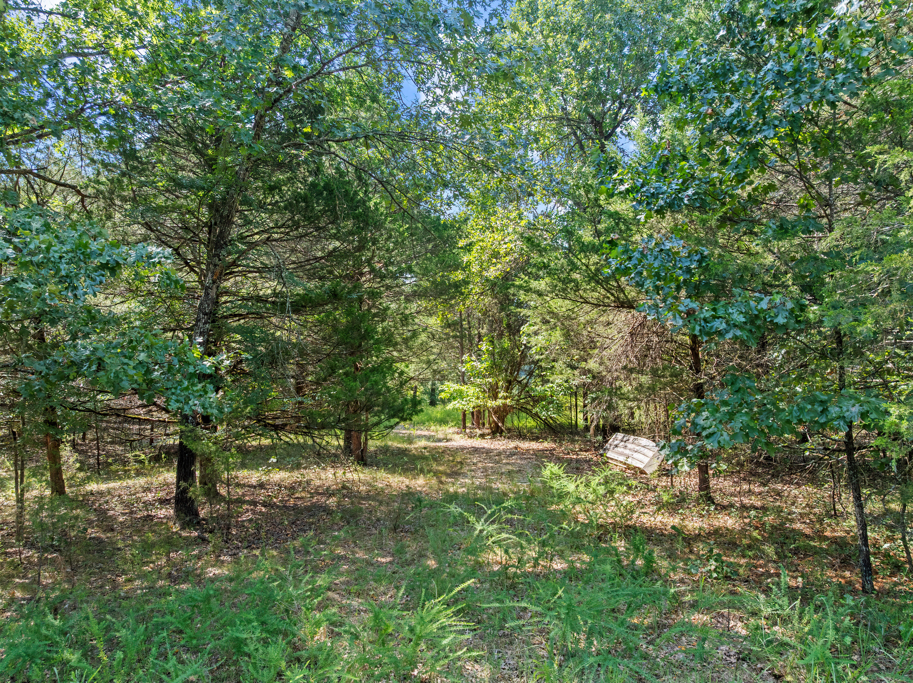 Photo 7 - Land for sale – 000 S Glade Point Drive  Yellville, AR