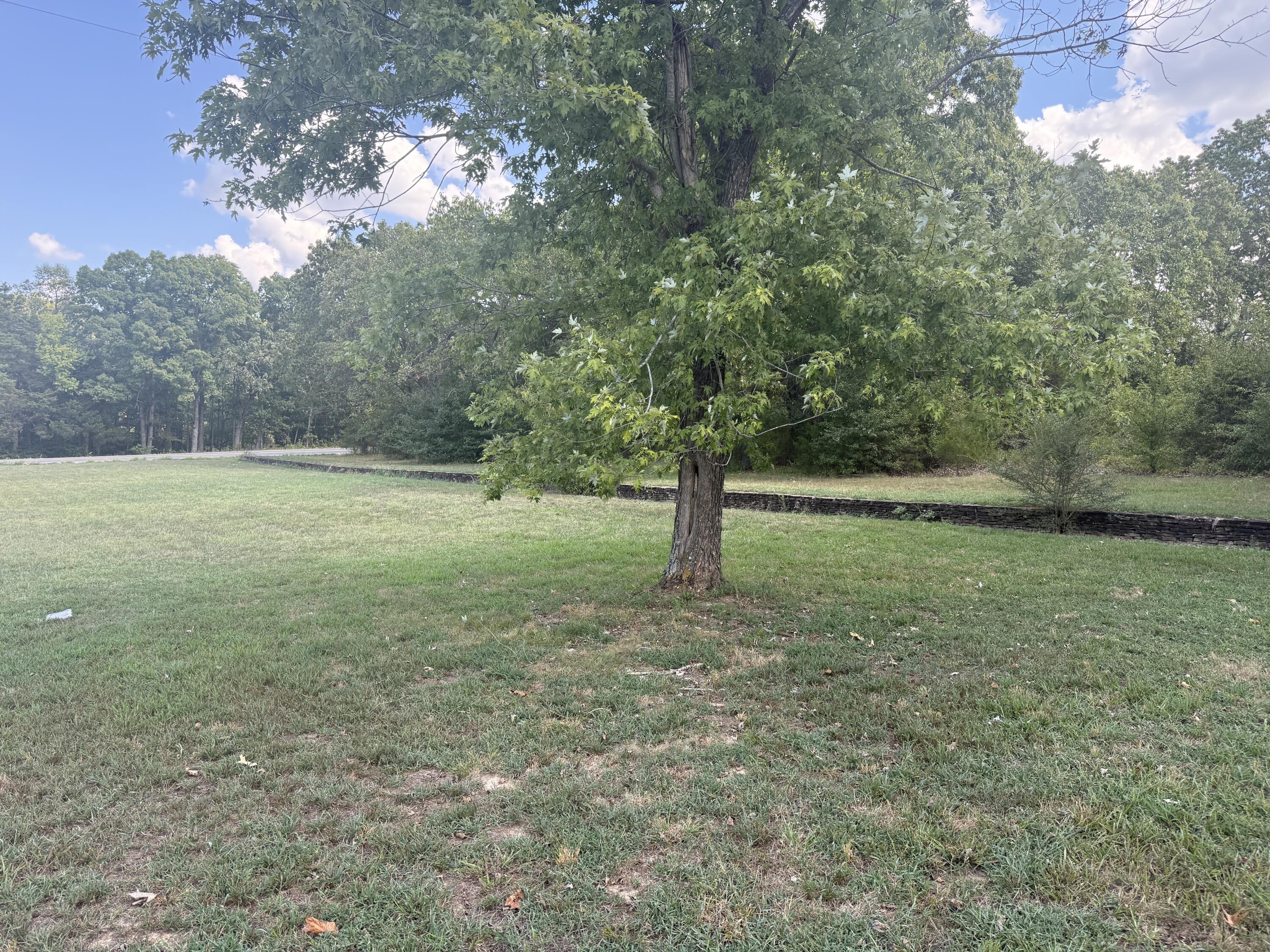Photo 15 - Residential for sale – 11627  State Route 17   West Plains, MO