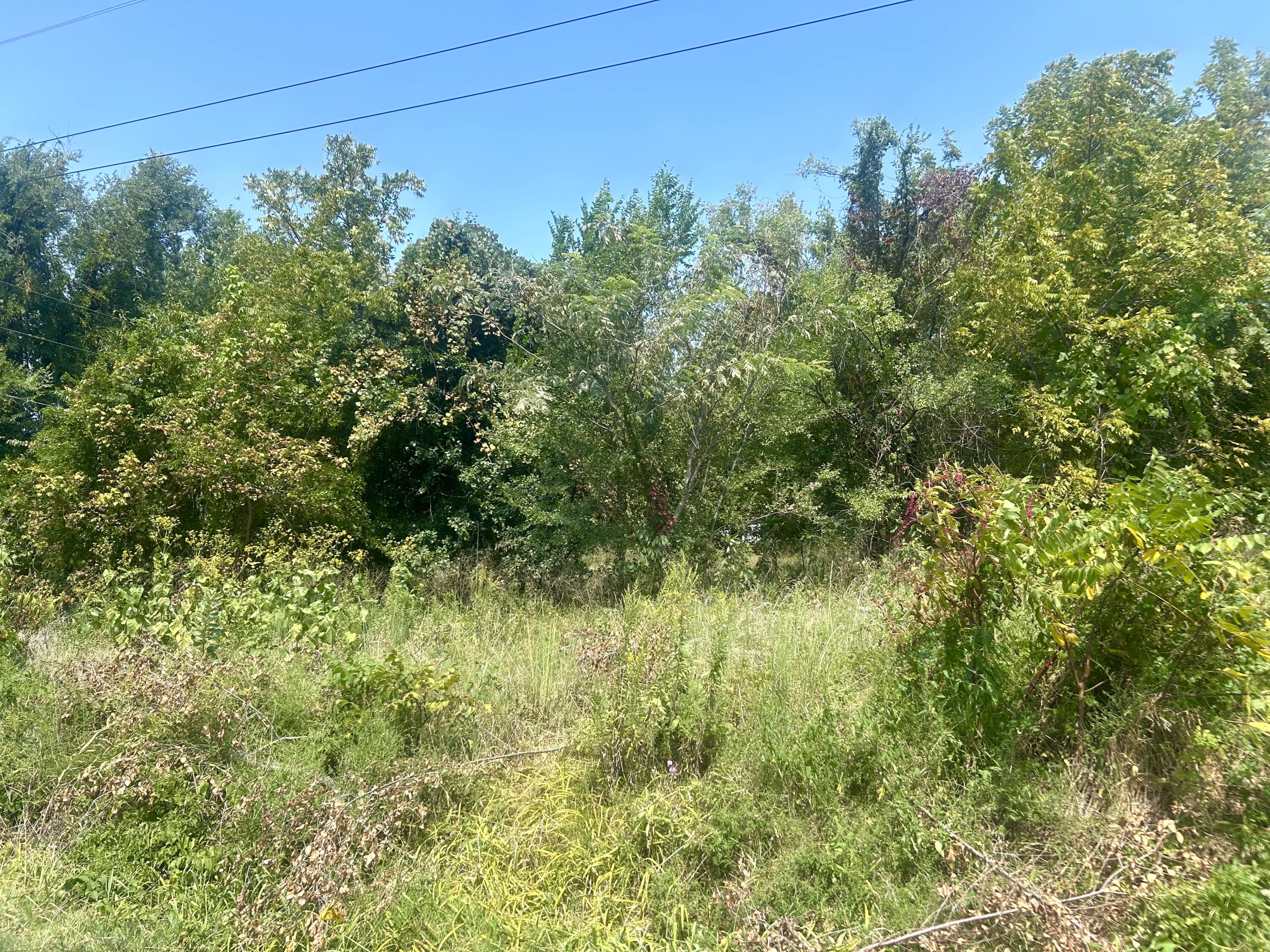 Land for sale – 1206  Martin Avenue  Ava, MO