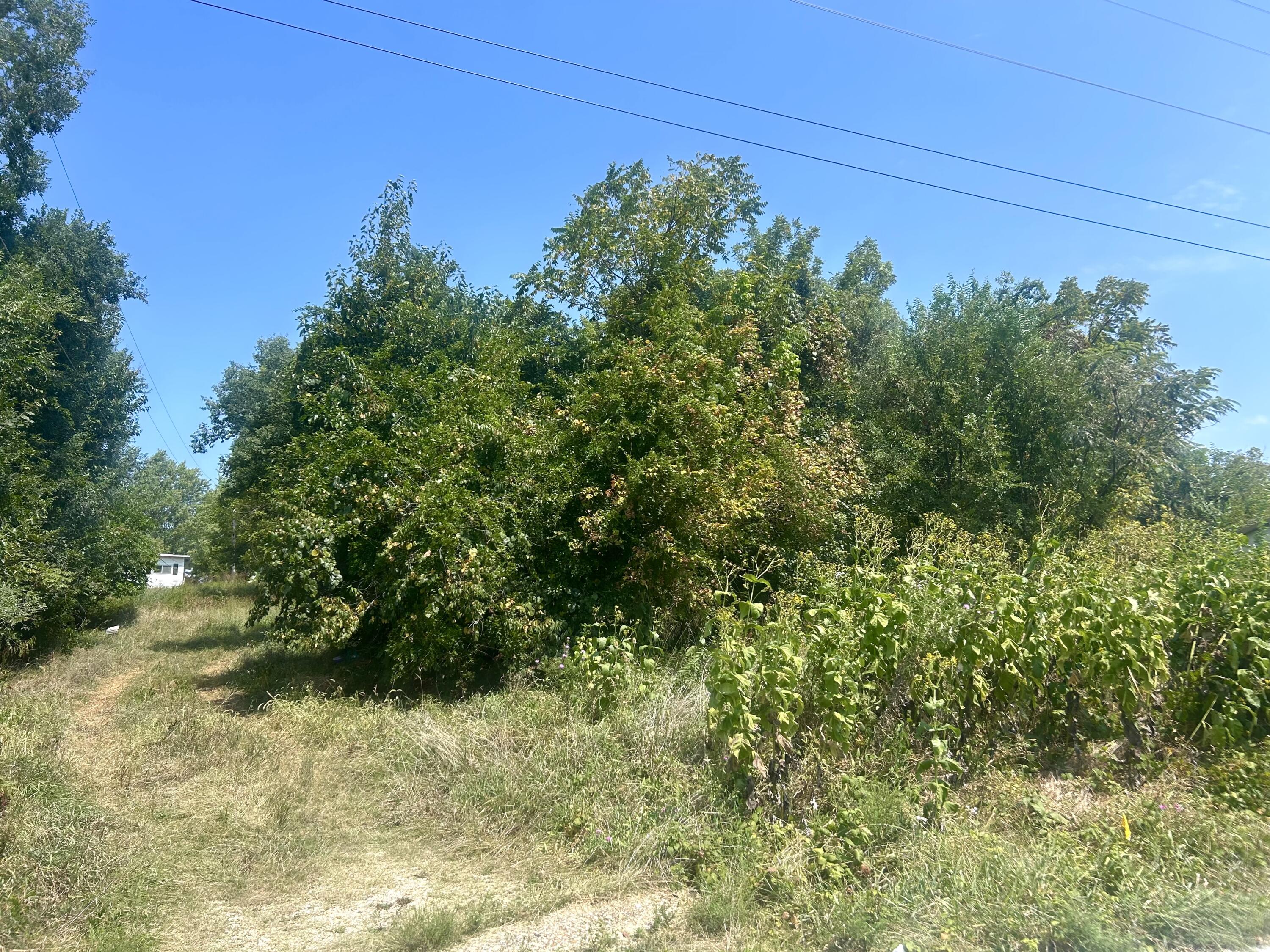 Photo 2 - Land for sale – 1206  Martin Avenue  Ava, MO
