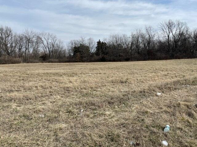 Photo 4 - Land for sale – 2440 N Cresthaven Avenue  Springfield, MO