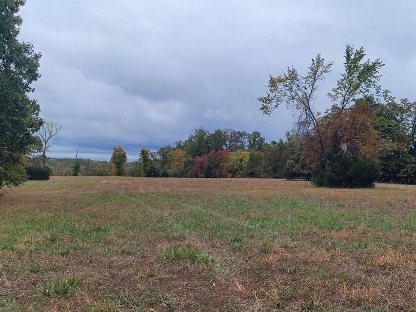 Photo 7 - Land for sale – 000  Hawknest Trail  Long Lane, MO