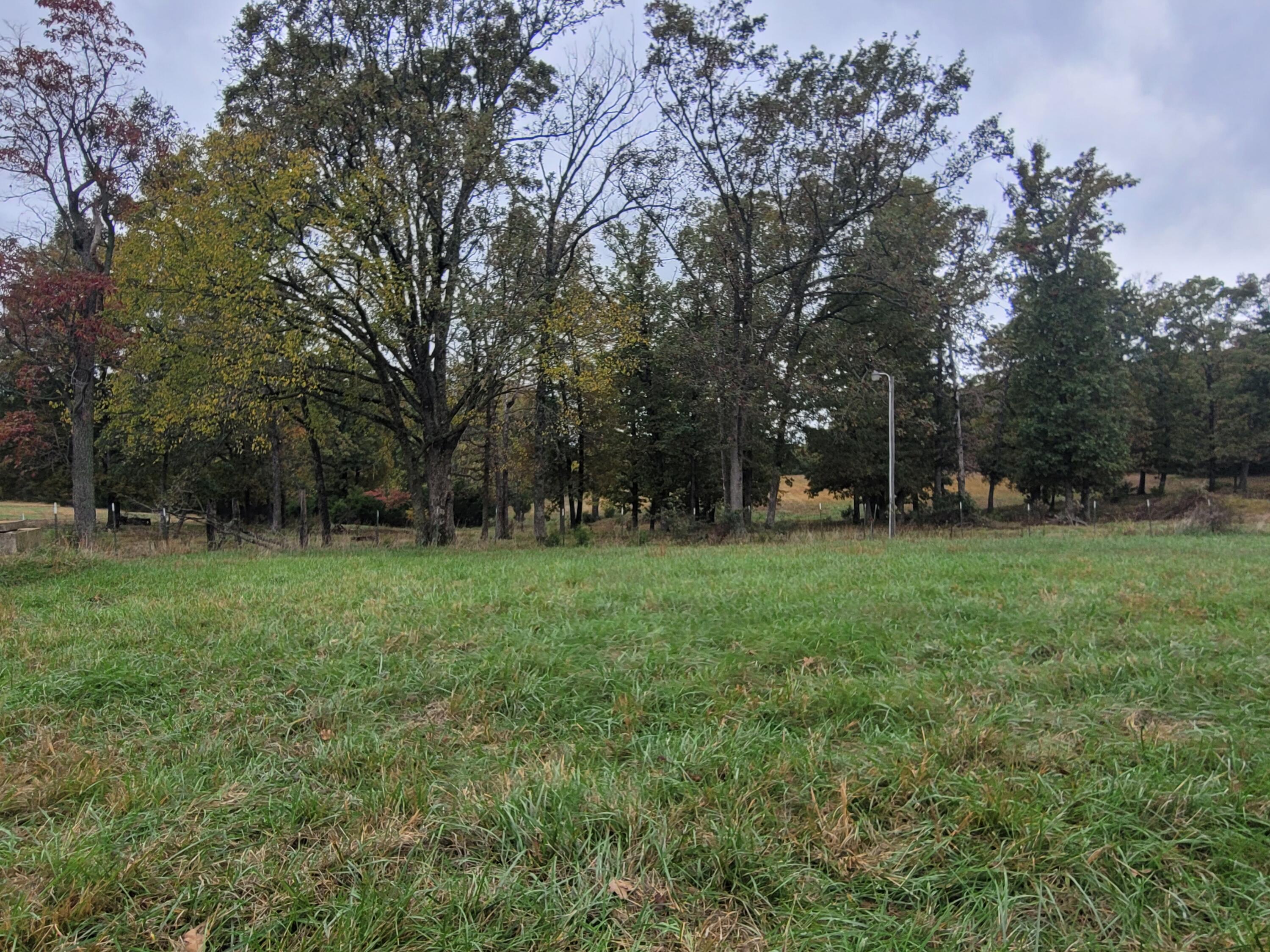 Photo 6 - Land for sale – 000  Hawknest Trail  Long Lane, MO