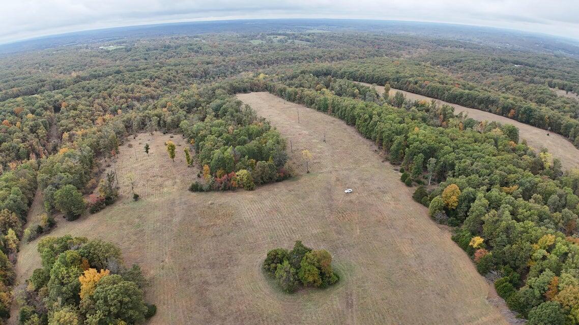 Photo 8 - Land for sale – 000  Hawknest Trail  Long Lane, MO