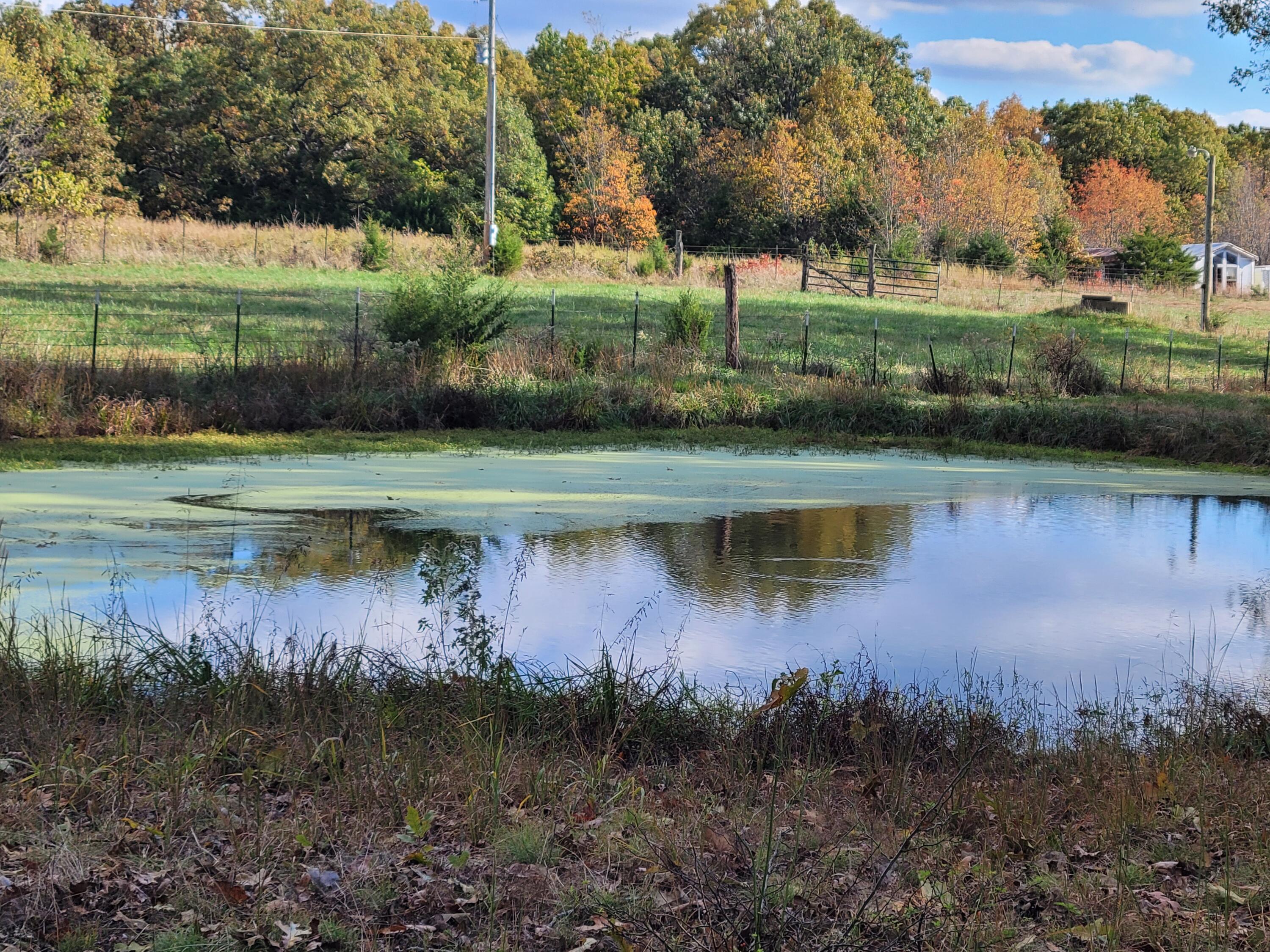 Photo 5 - Land for sale – 000  Hawknest Trail  Long Lane, MO