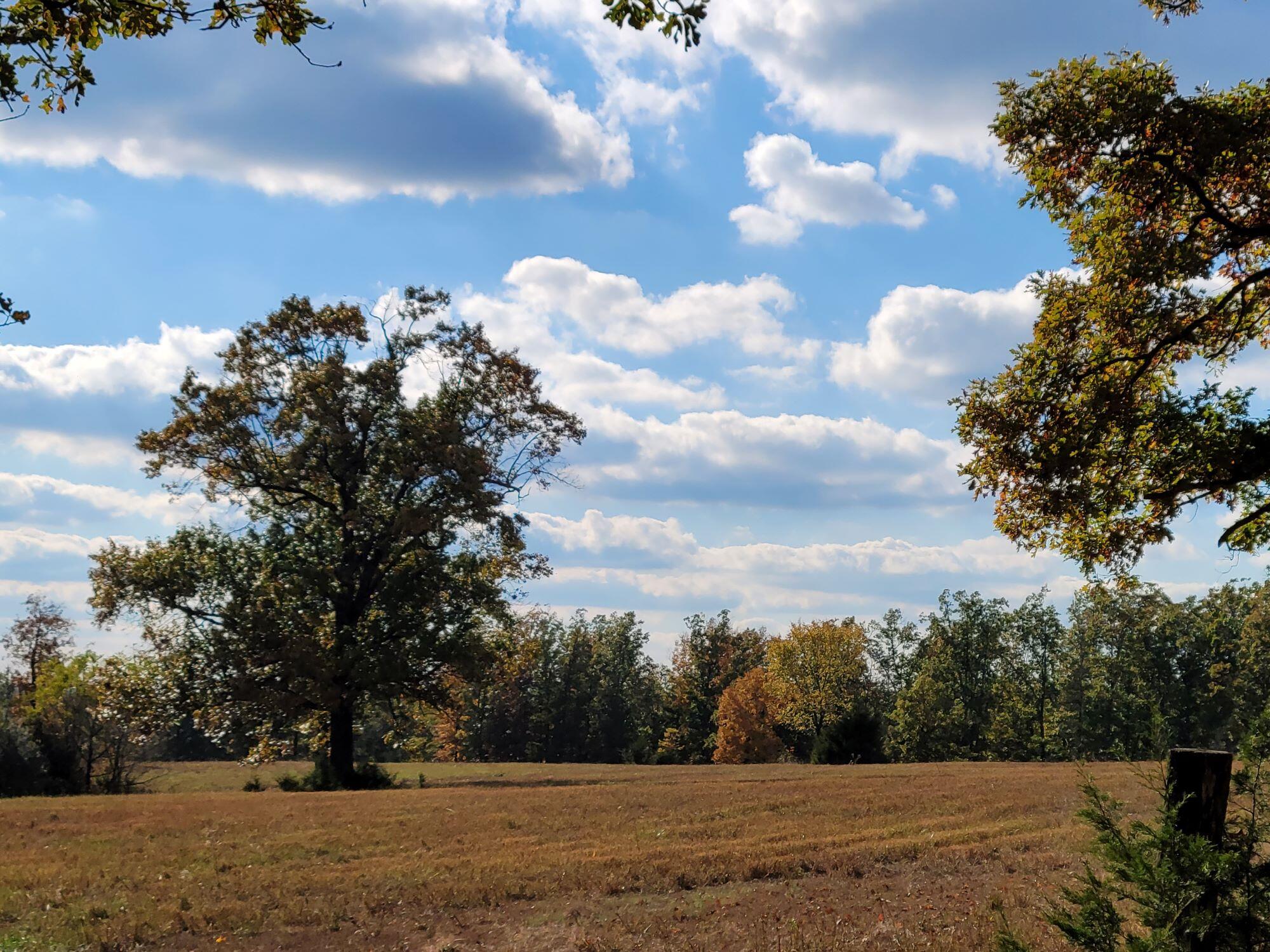 Photo 10 - Land for sale – 000  Hawknest Trail  Long Lane, MO