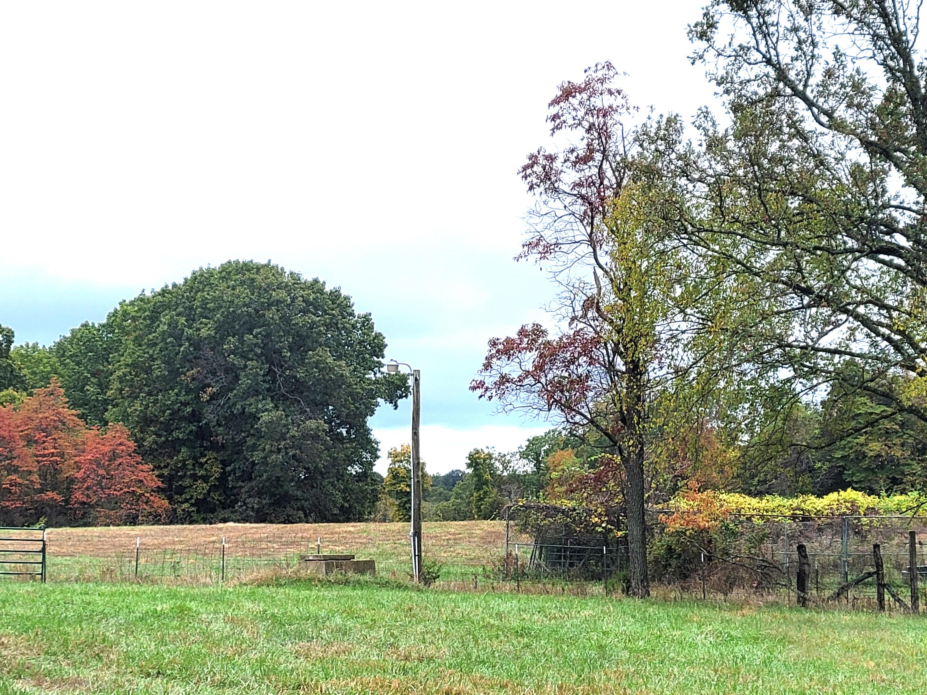 Photo 4 - Land for sale – 000  Hawknest Trail  Long Lane, MO
