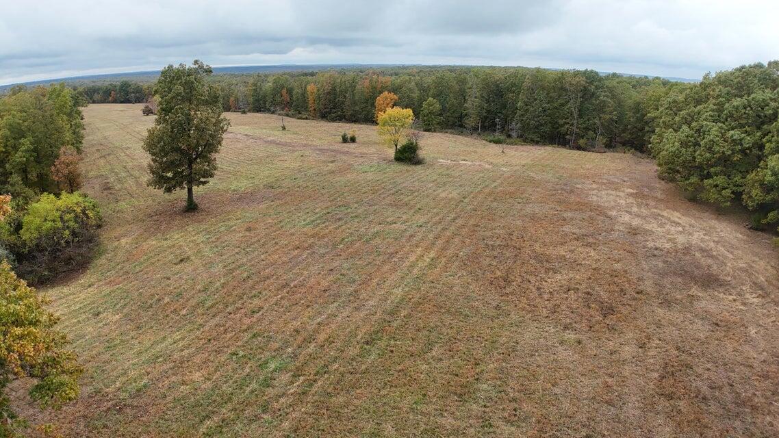 Photo 9 - Land for sale – 000  Hawknest Trail  Long Lane, MO
