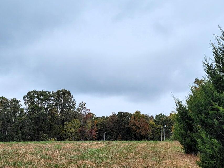 Photo 3 - Land for sale – 000  Hawknest Trail  Long Lane, MO
