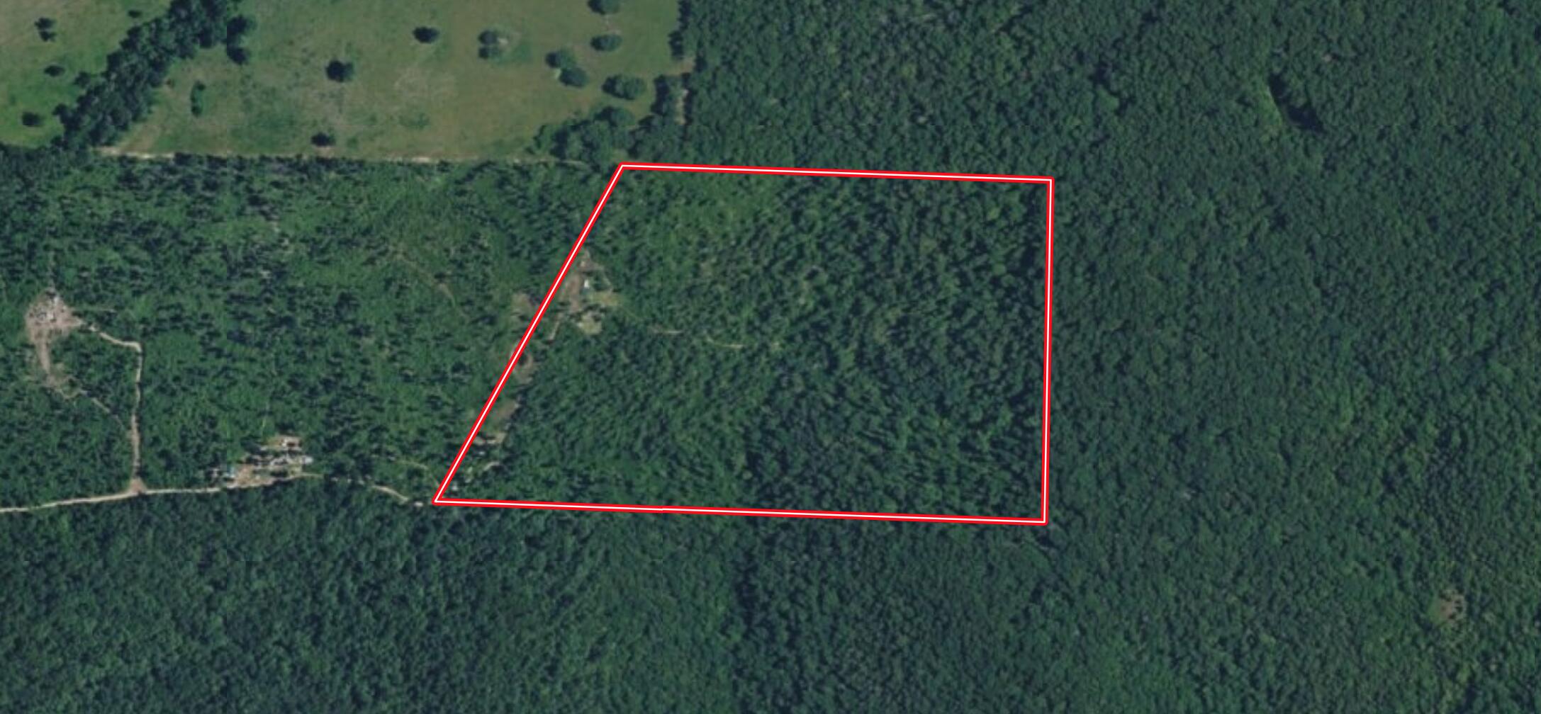 Photo 8 - Land for sale – 697  Beldire Lane  Thornfield, MO