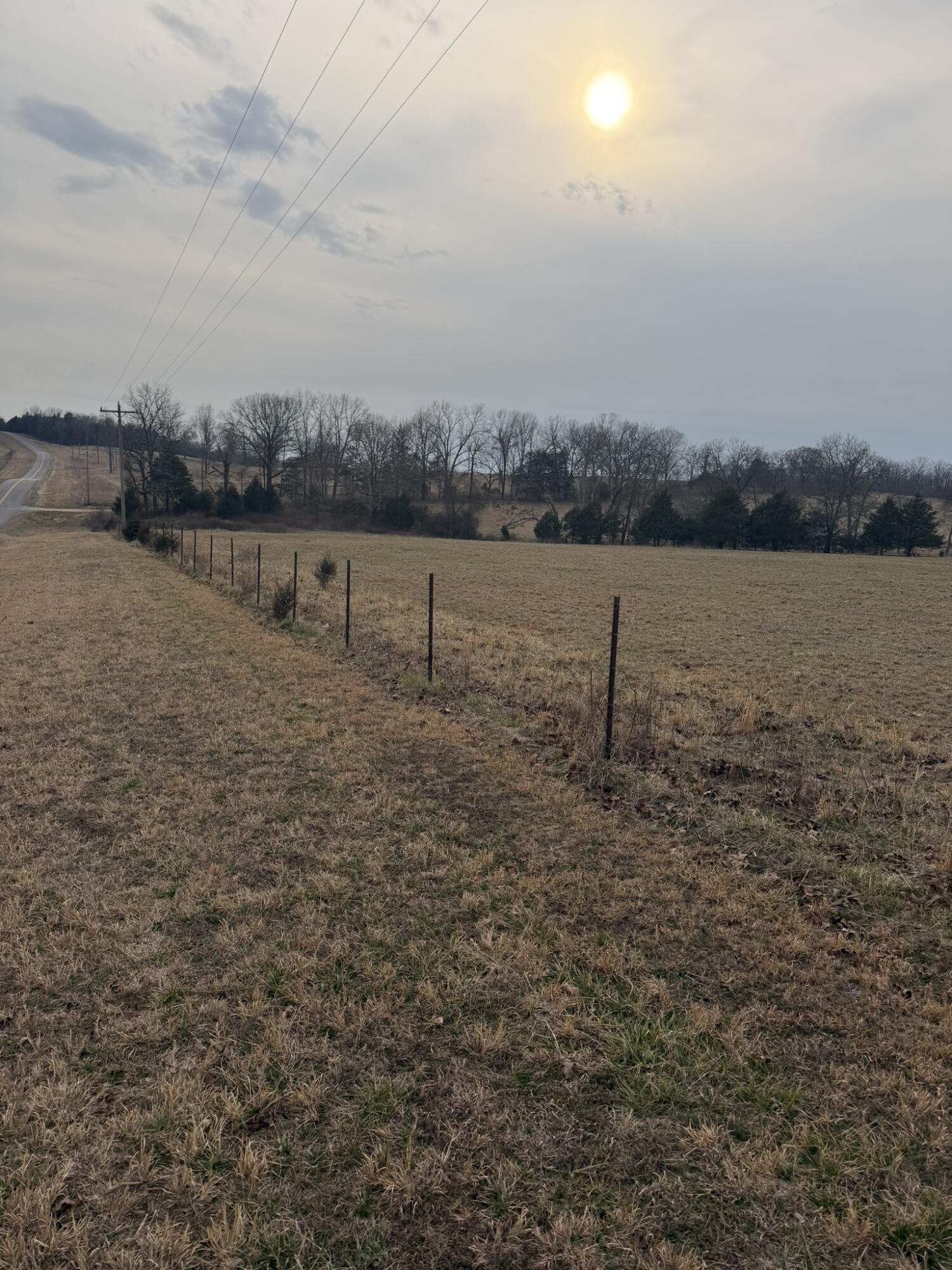 Photo 2 - Land for sale – 141  Co Rd 329   Dora, MO