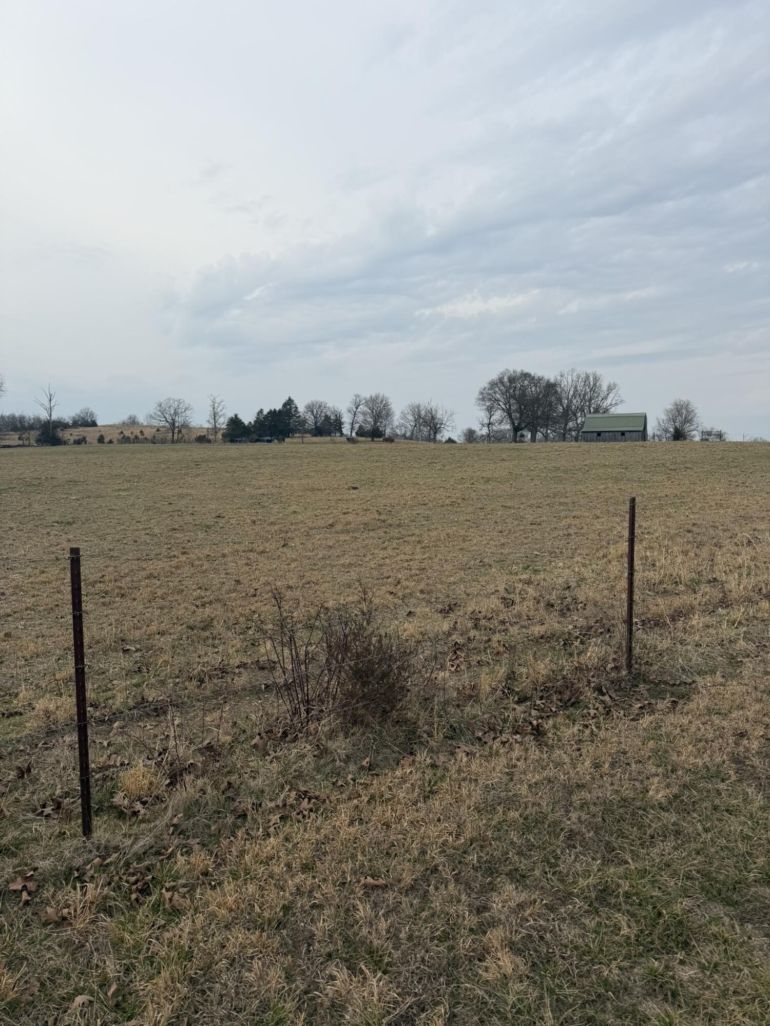 Photo 3 - Land for sale – 141  Co Rd 329   Dora, MO