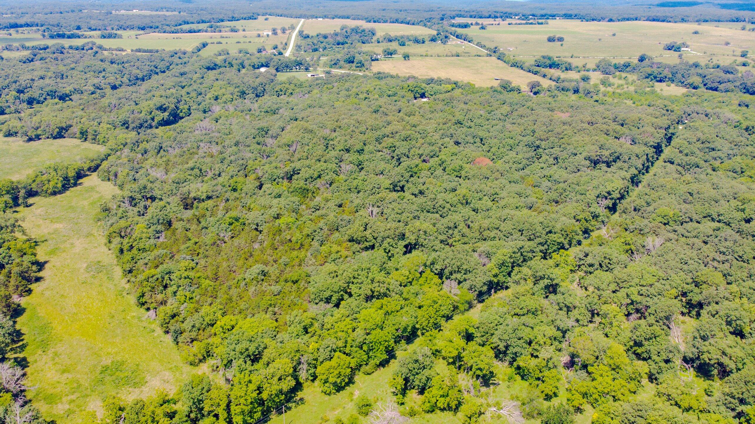 Photo 13 - Land for sale – 000  Mo-82   Osceola, MO