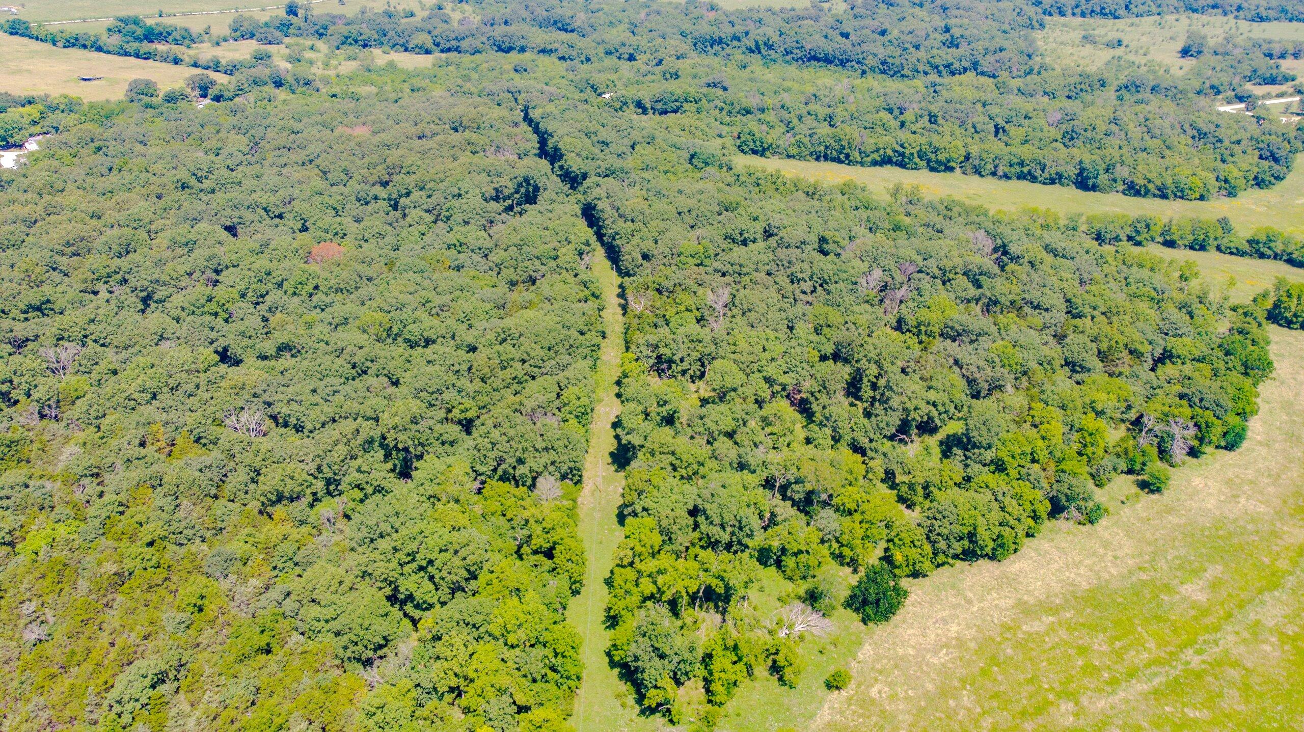 Photo 11 - Land for sale – 000  Mo-82   Osceola, MO