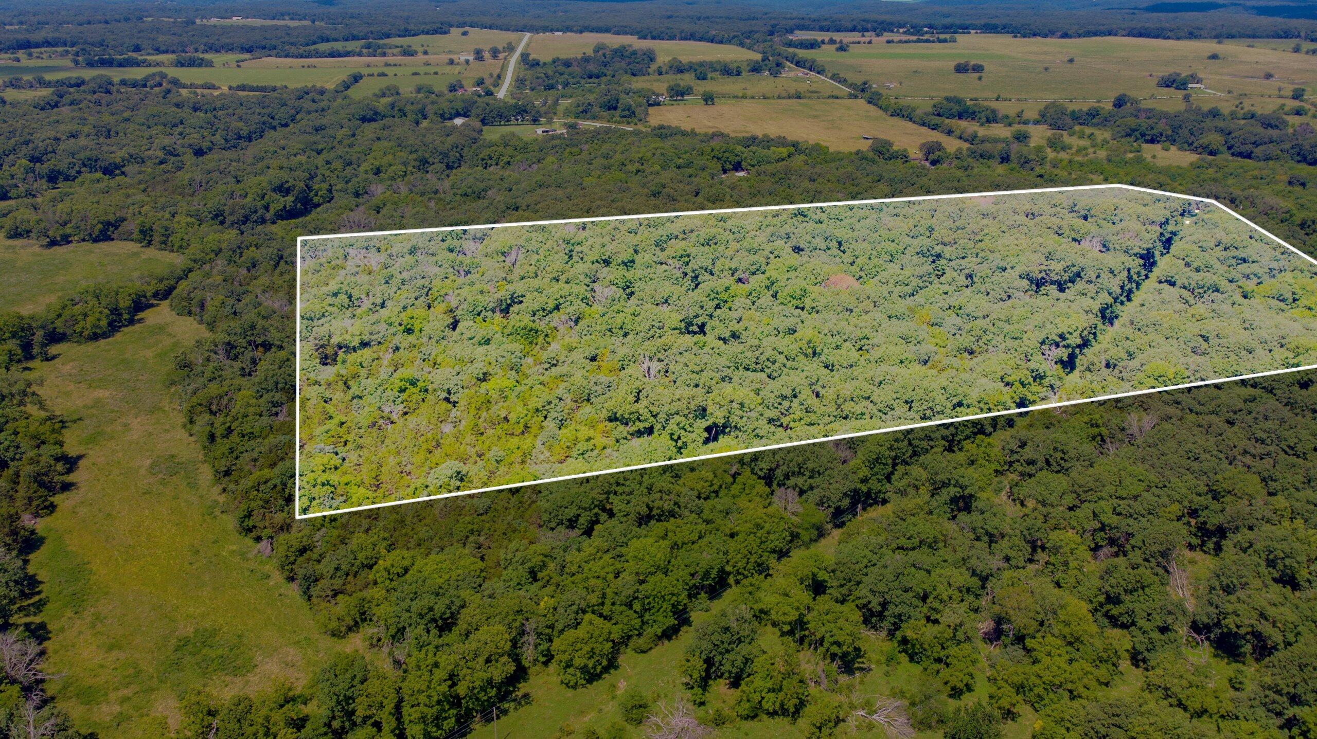 Photo 5 - Land for sale – 000  Mo-82   Osceola, MO