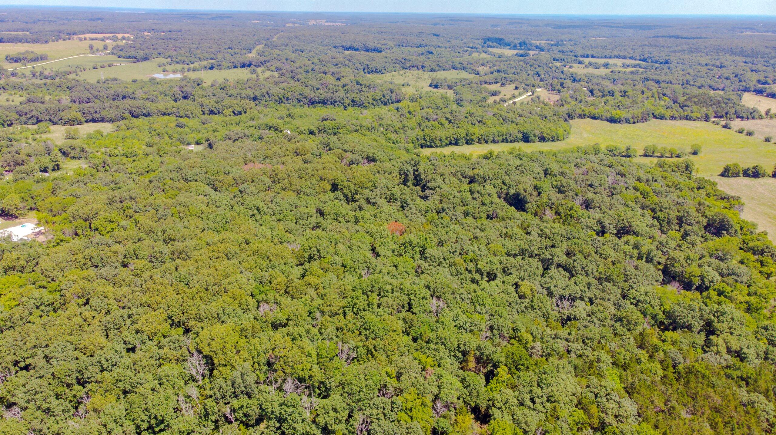 Photo 10 - Land for sale – 000  Mo-82   Osceola, MO