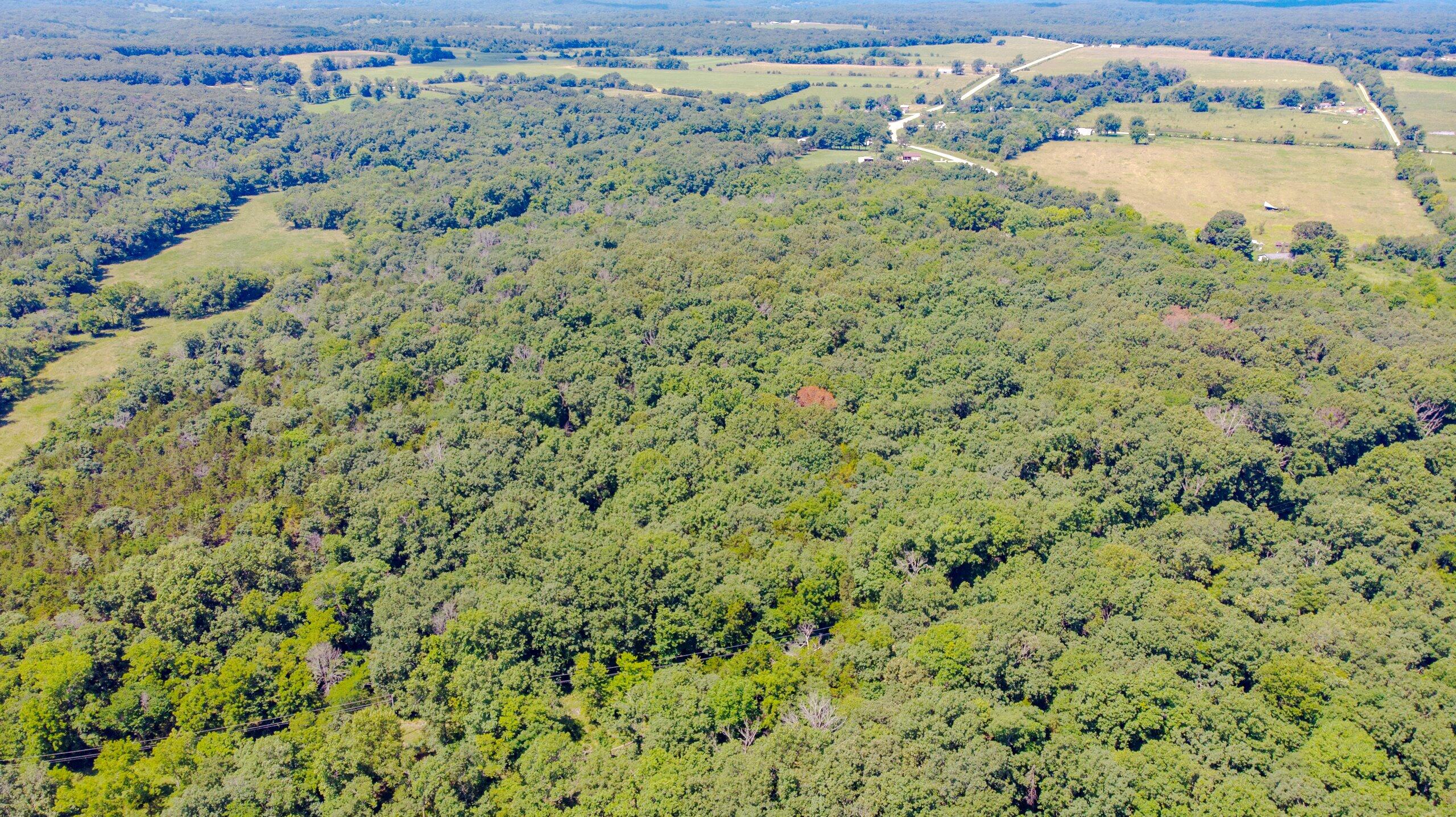 Photo 14 - Land for sale – 000  Mo-82   Osceola, MO