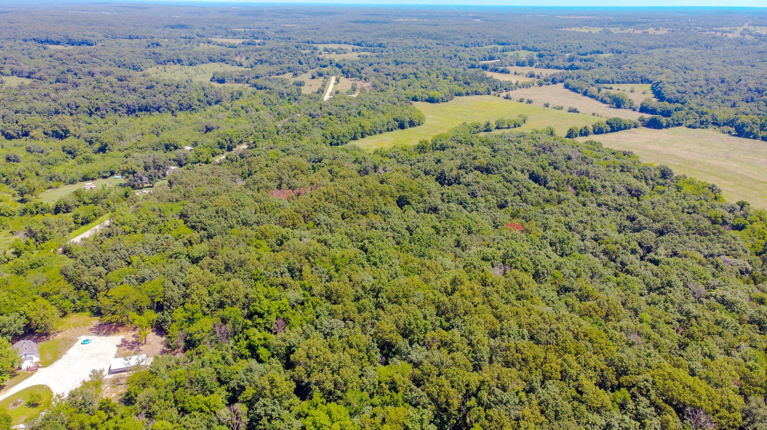 Photo 9 - Land for sale – 000  Mo-82   Osceola, MO