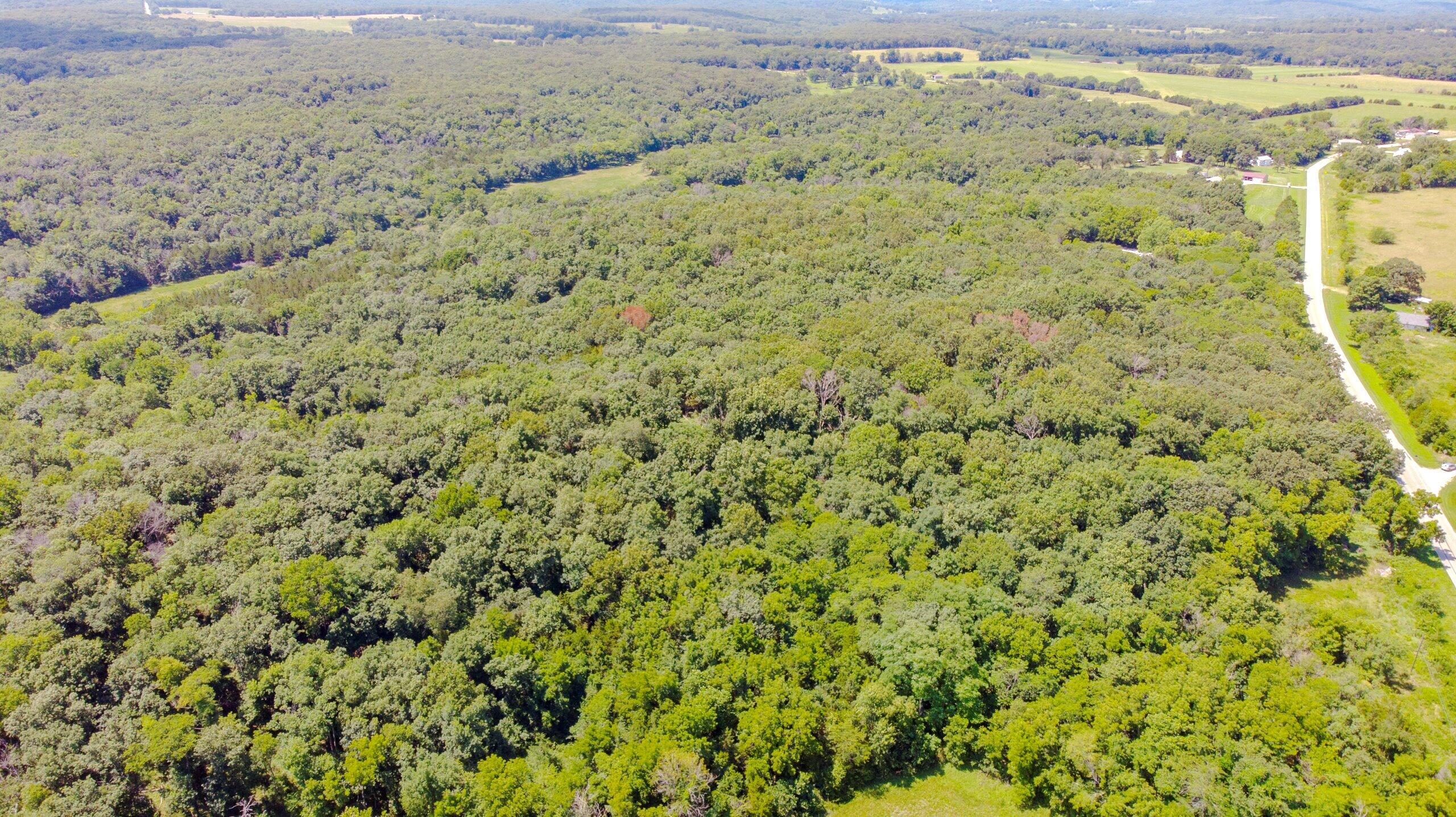 Photo 15 - Land for sale – 000  Mo-82   Osceola, MO