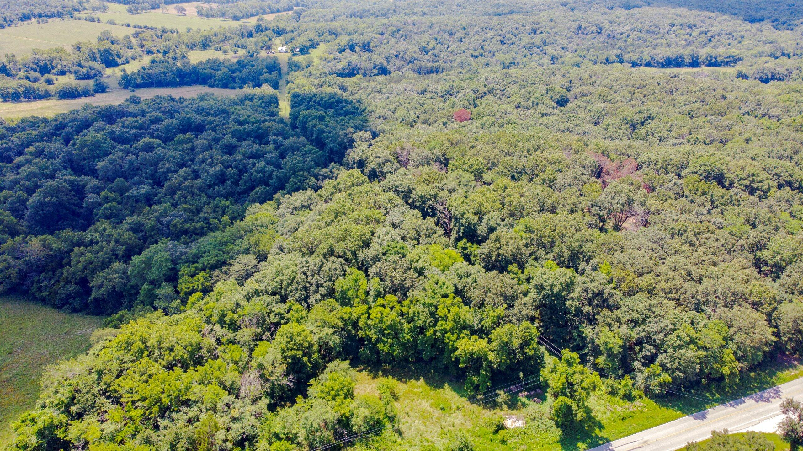 Photo 4 - Land for sale – 000  Mo-82   Osceola, MO