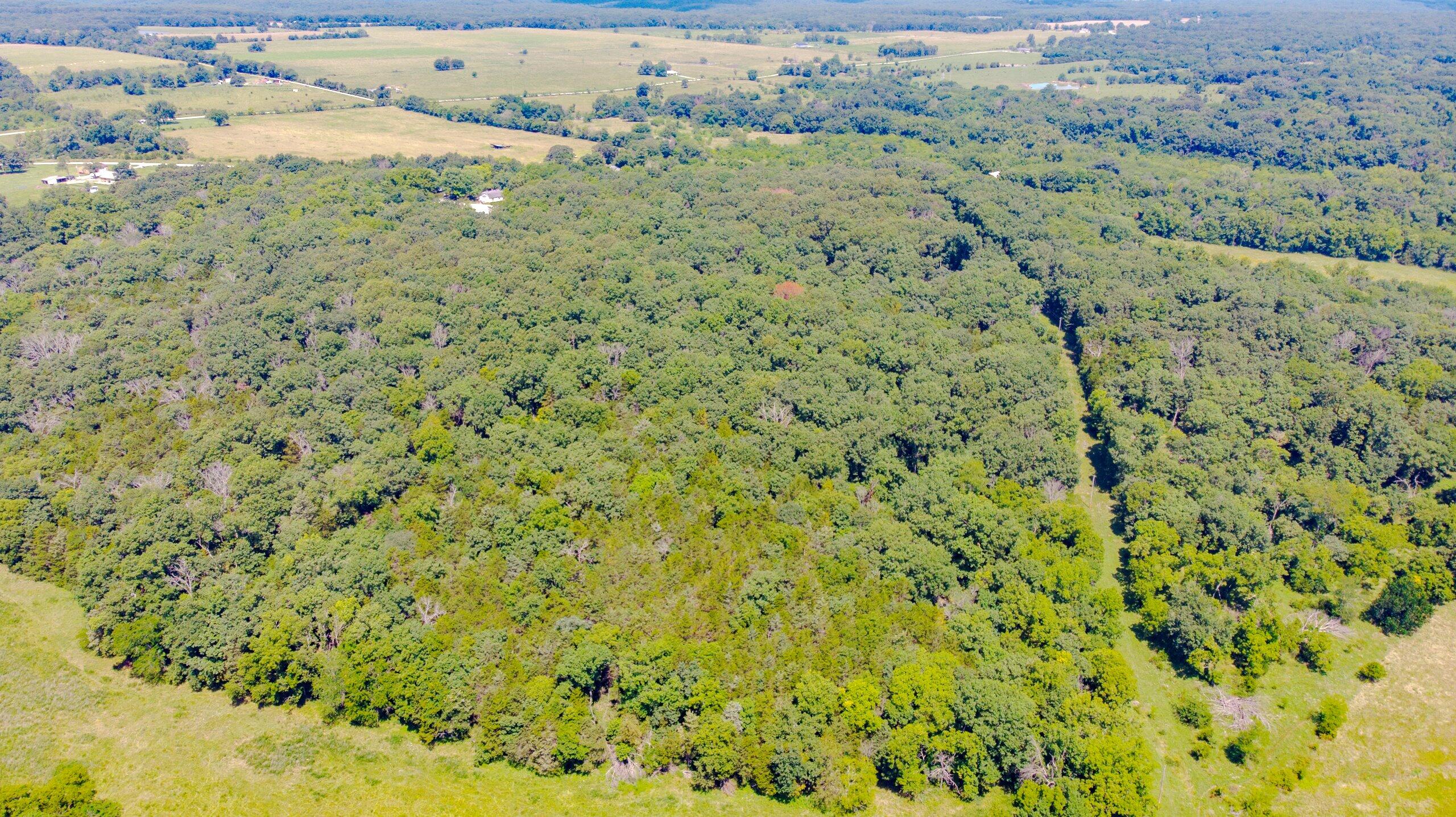 Photo 12 - Land for sale – 000  Mo-82   Osceola, MO