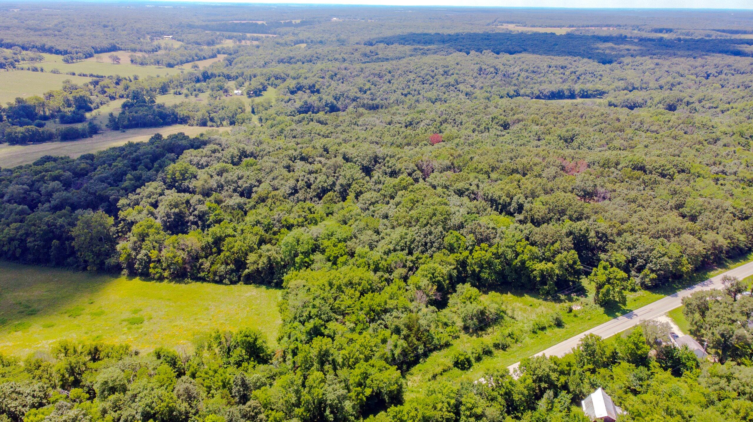 Photo 3 - Land for sale – 000  Mo-82   Osceola, MO