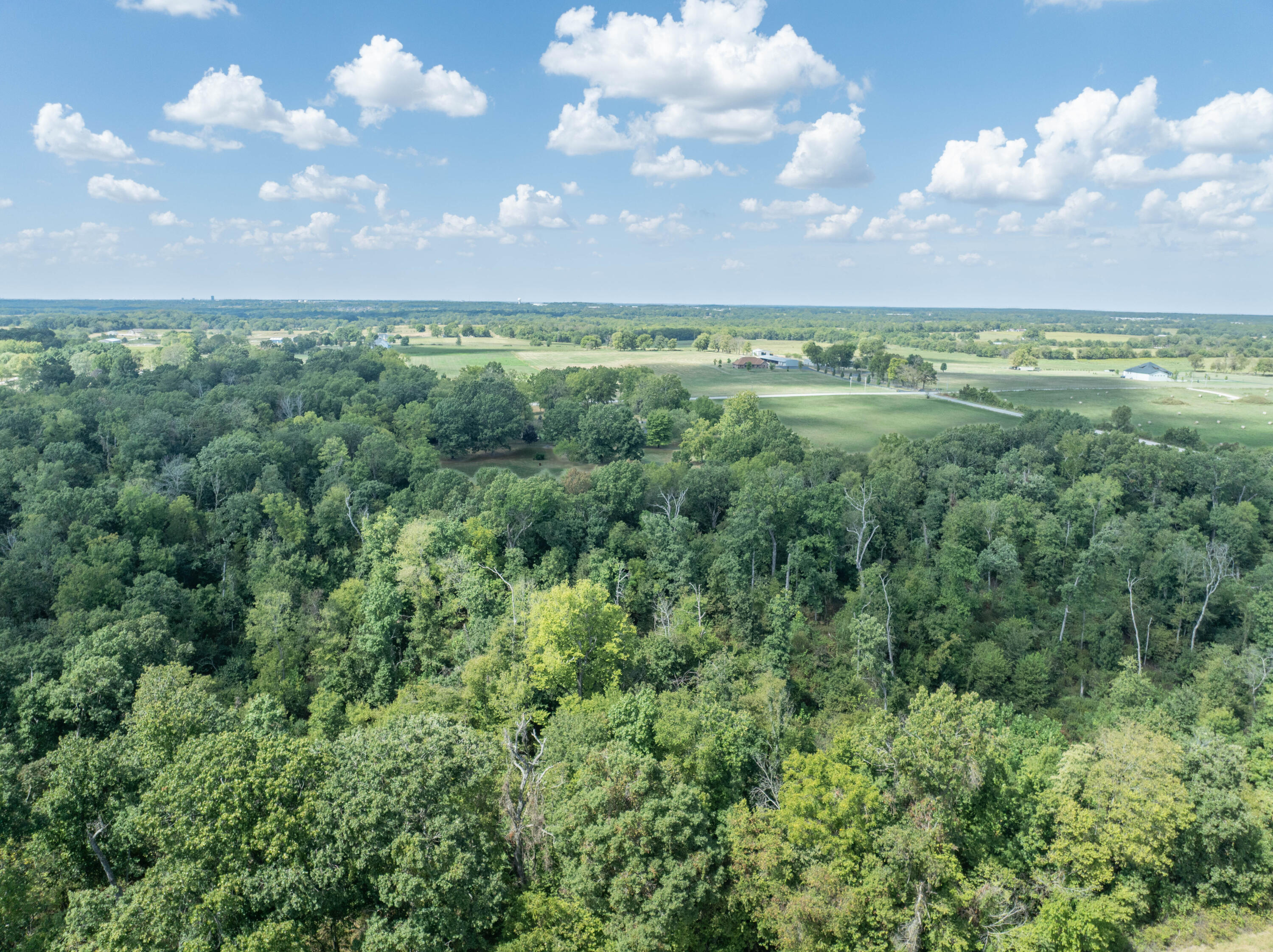 Photo 66 - Residential for sale – 2282 N Farm Road 227   Strafford, MO