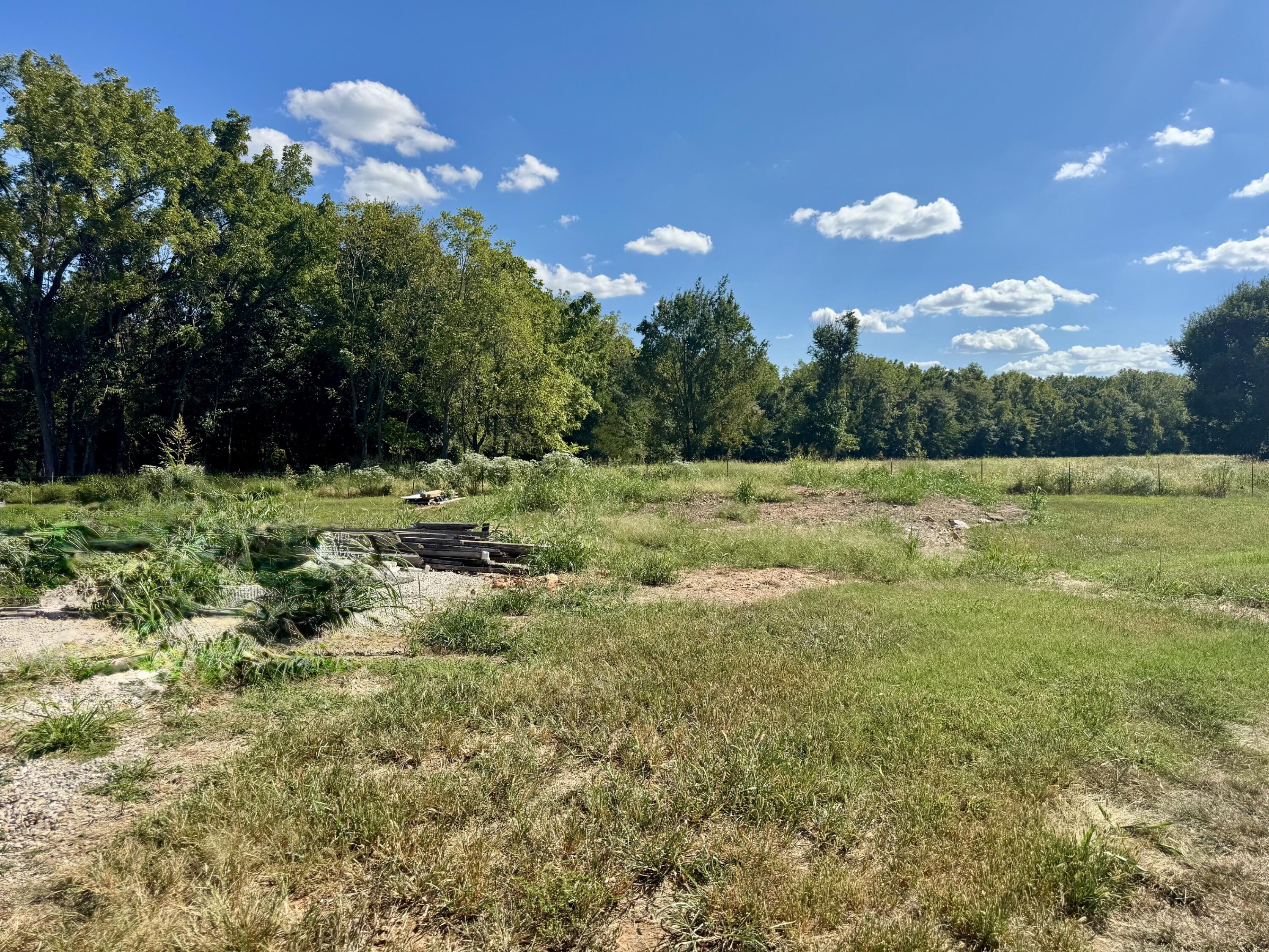Land for sale – 1902 N Vineyard Place  Strafford, MO