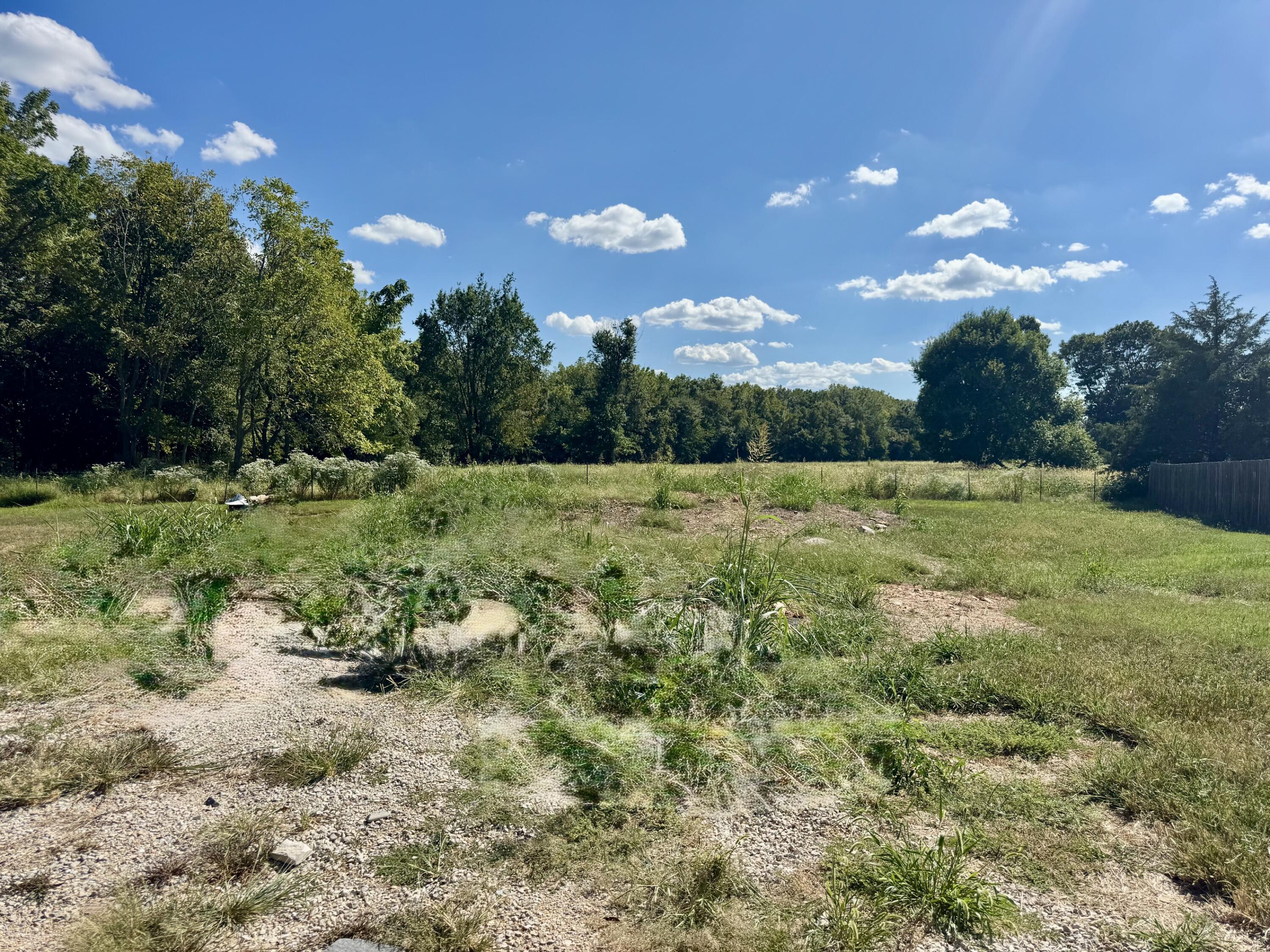 Photo 4 - Land for sale – 1902 N Vineyard Place  Strafford, MO