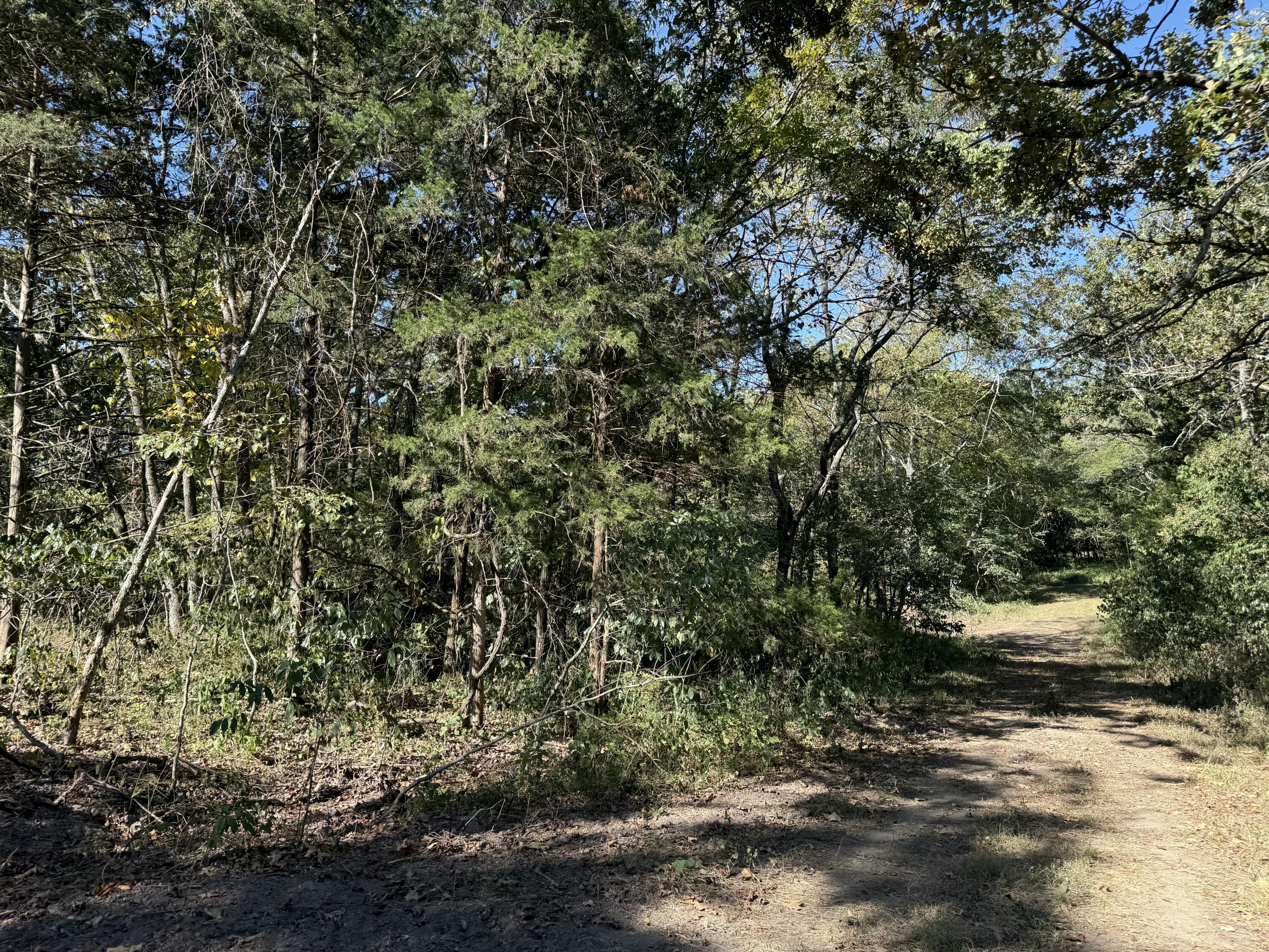 Photo 6 - Land for sale – 000  203   Wheatland, MO