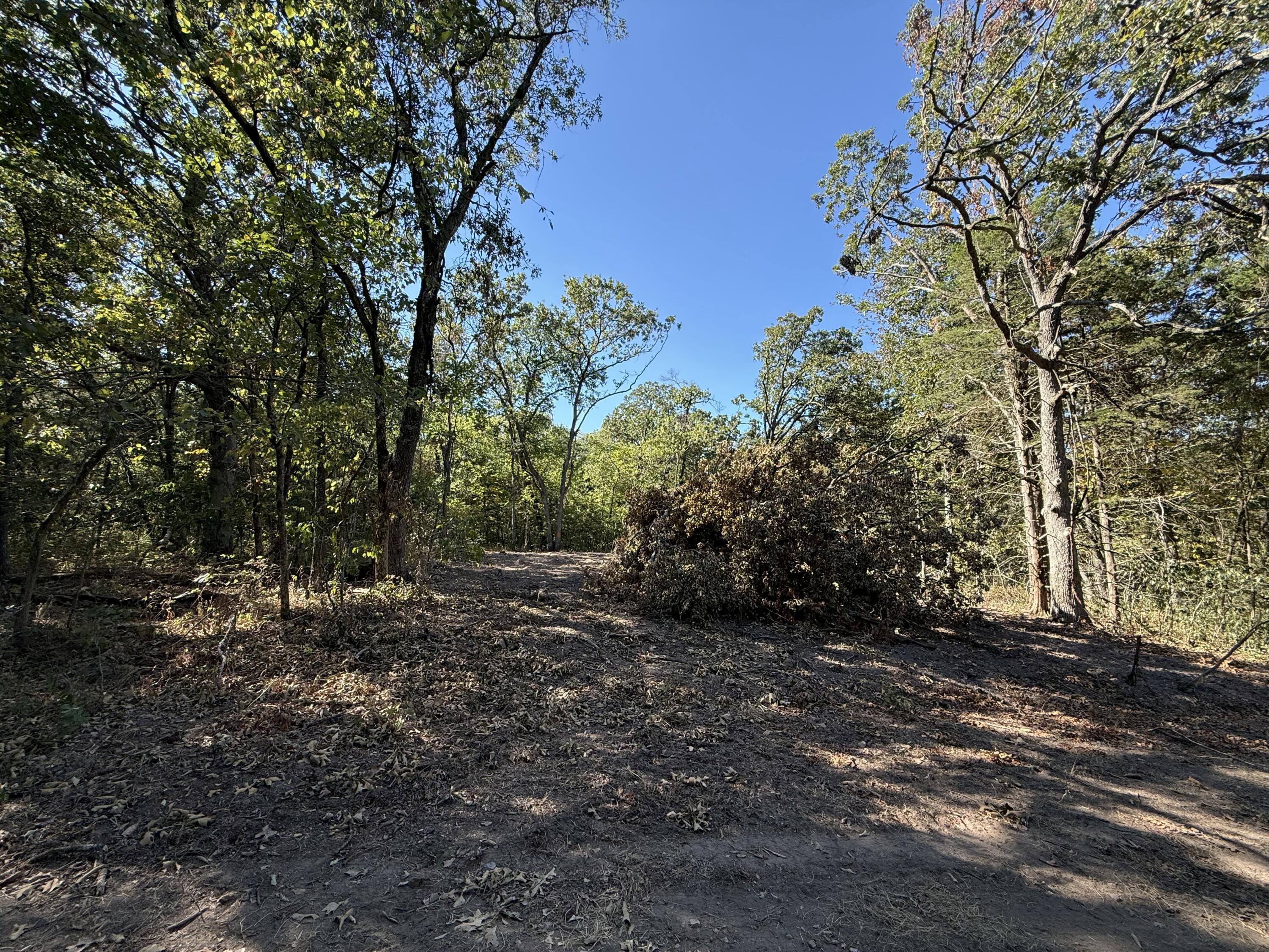 Land for sale – 000  203   Wheatland, MO