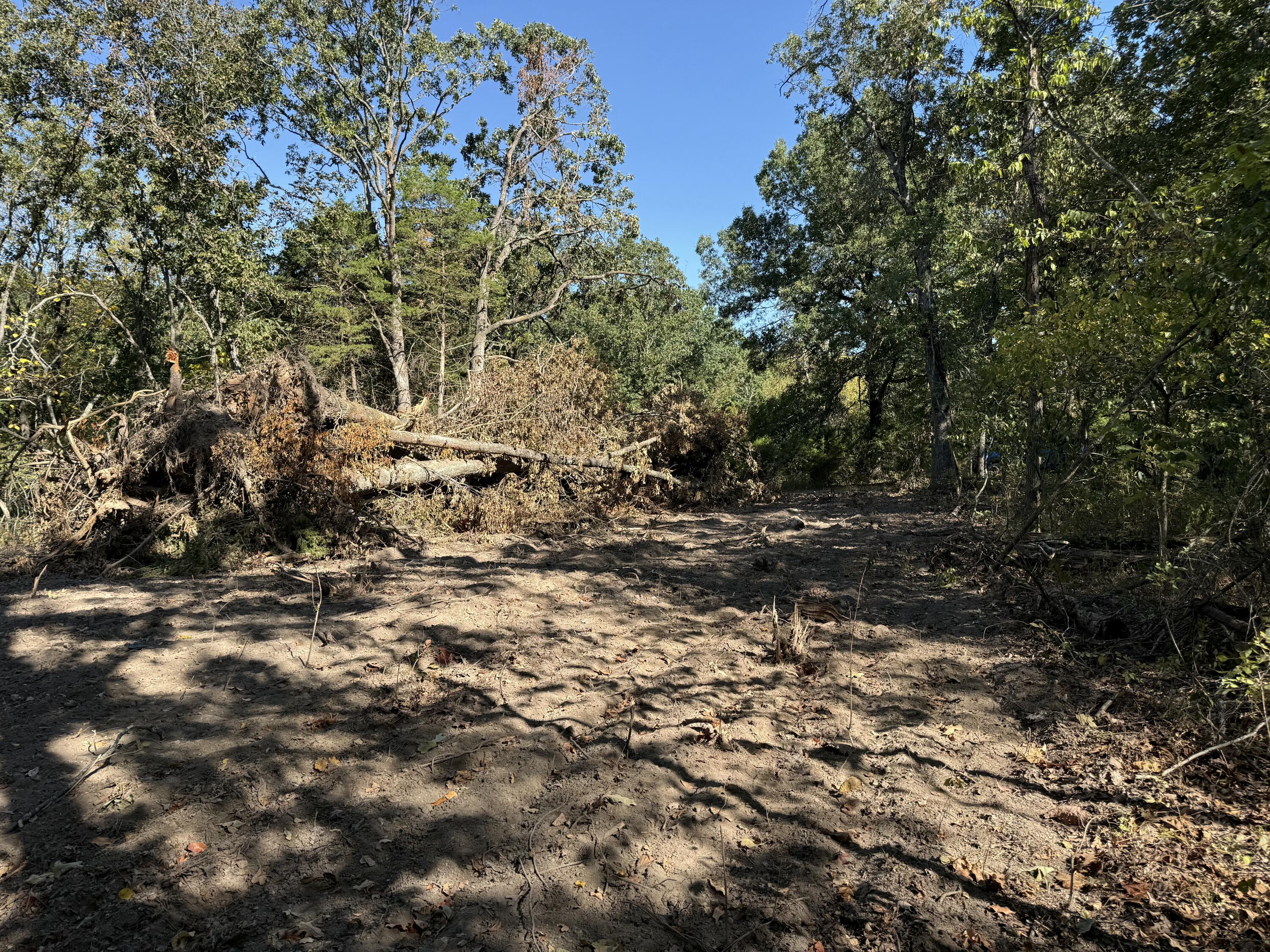 Photo 5 - Land for sale – 000  203   Wheatland, MO