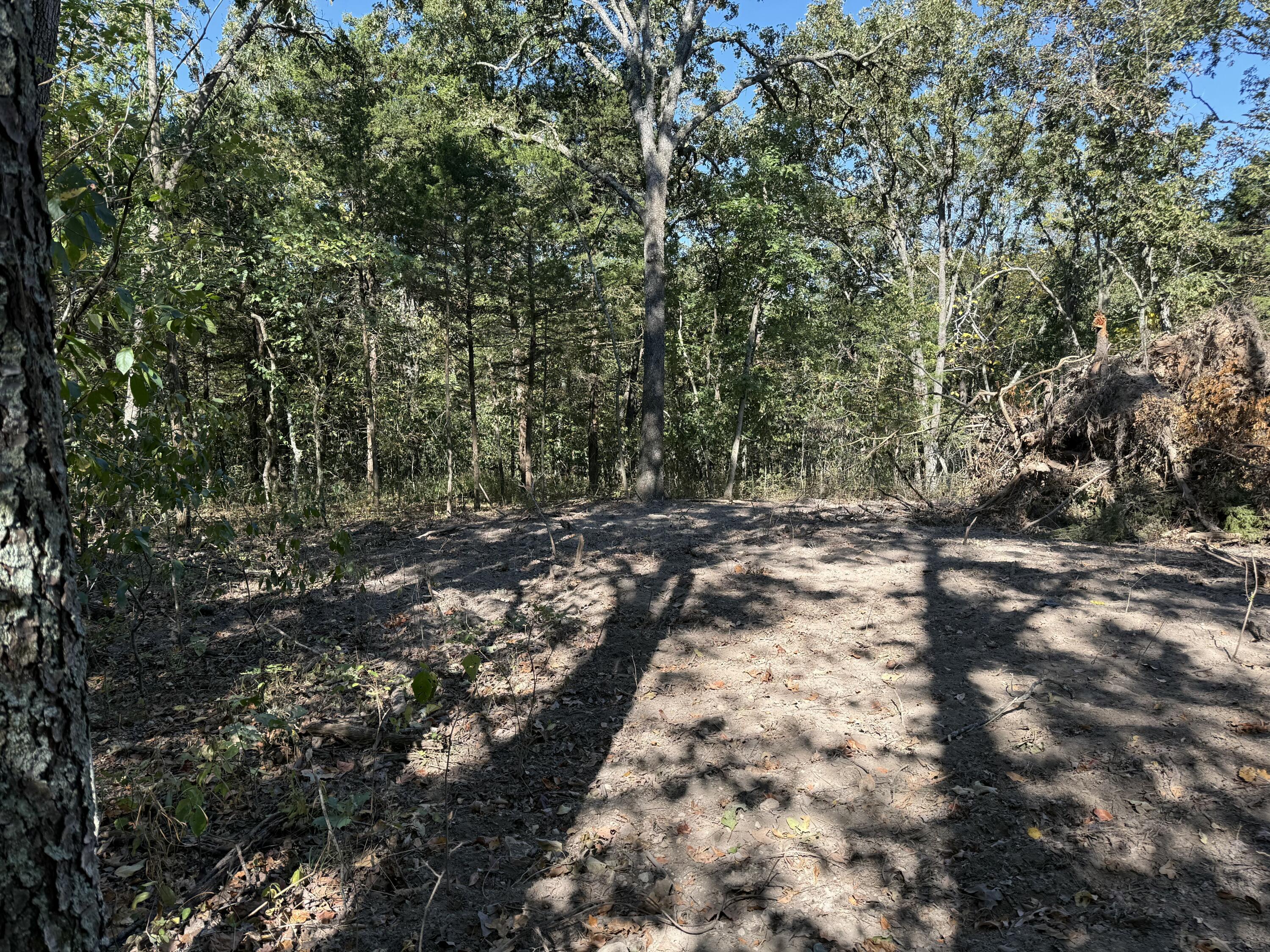 Photo 4 - Land for sale – 000  203   Wheatland, MO