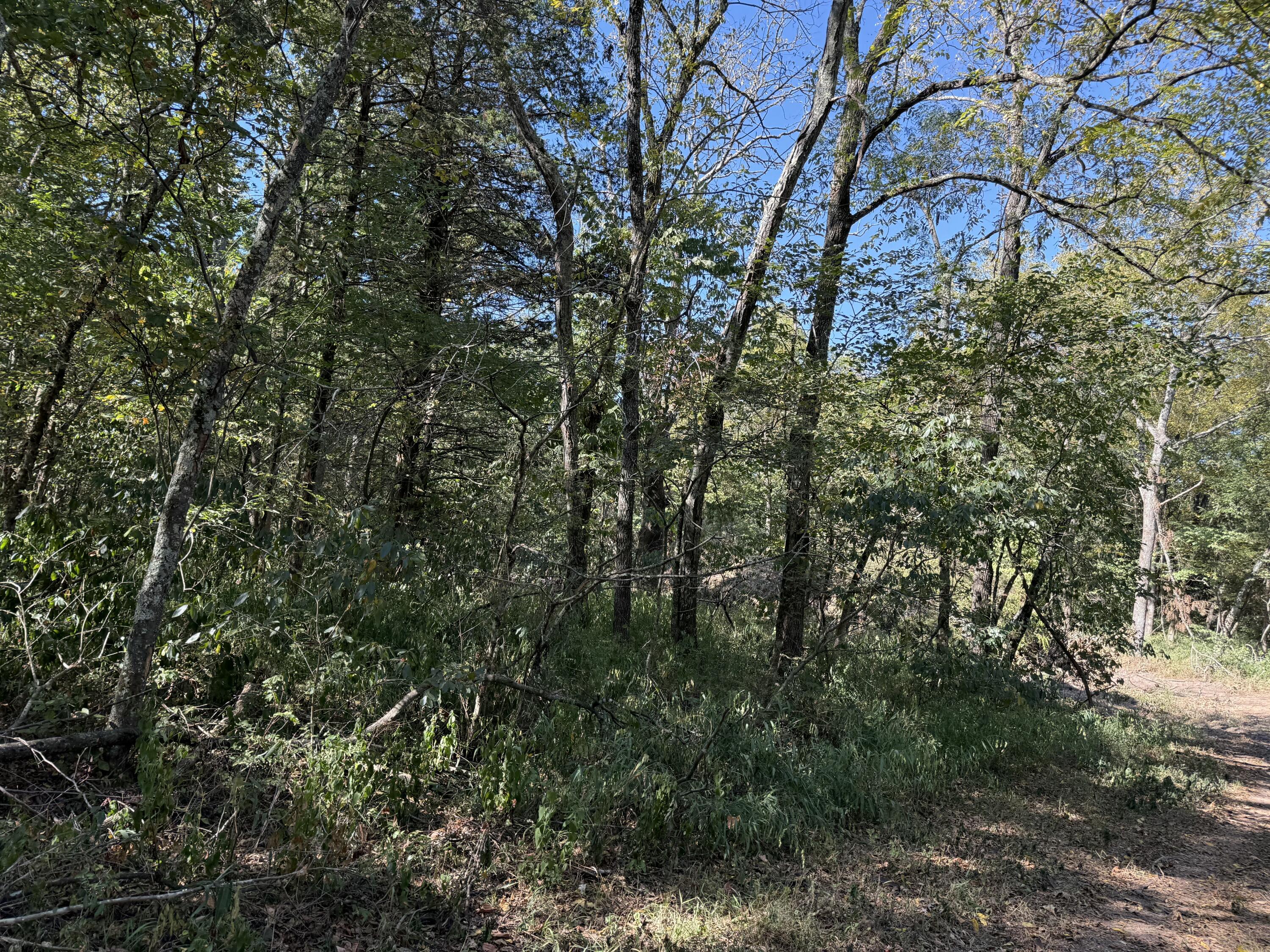 Photo 7 - Land for sale – 000  203   Wheatland, MO