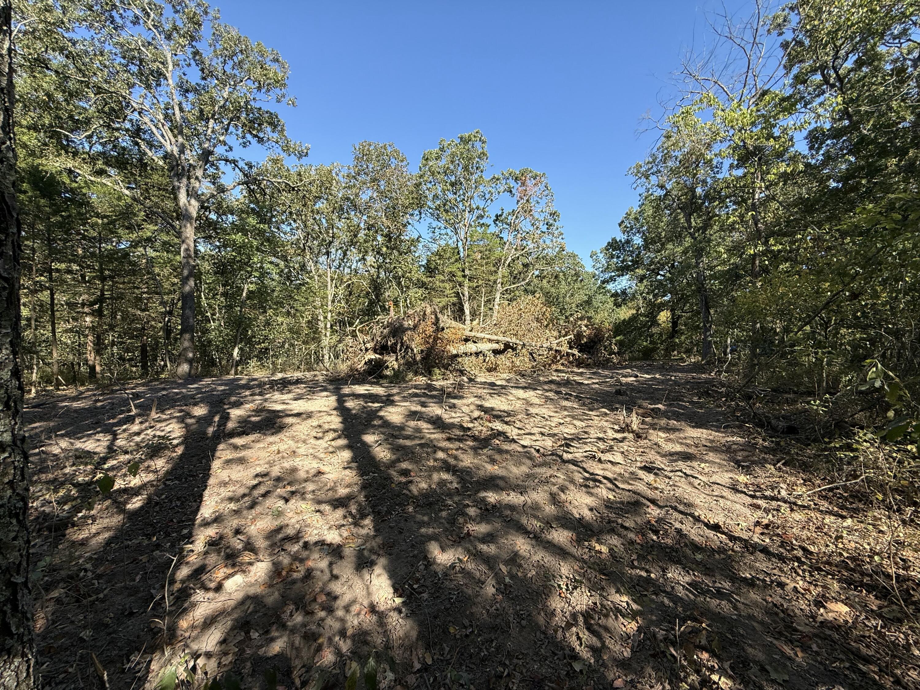 Photo 3 - Land for sale – 000  203   Wheatland, MO